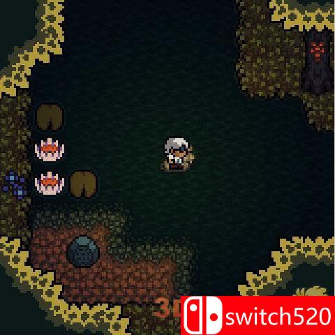 《镇痛（Anodyne）》v1.520S SiMPLEX硬盘版[EN]_4