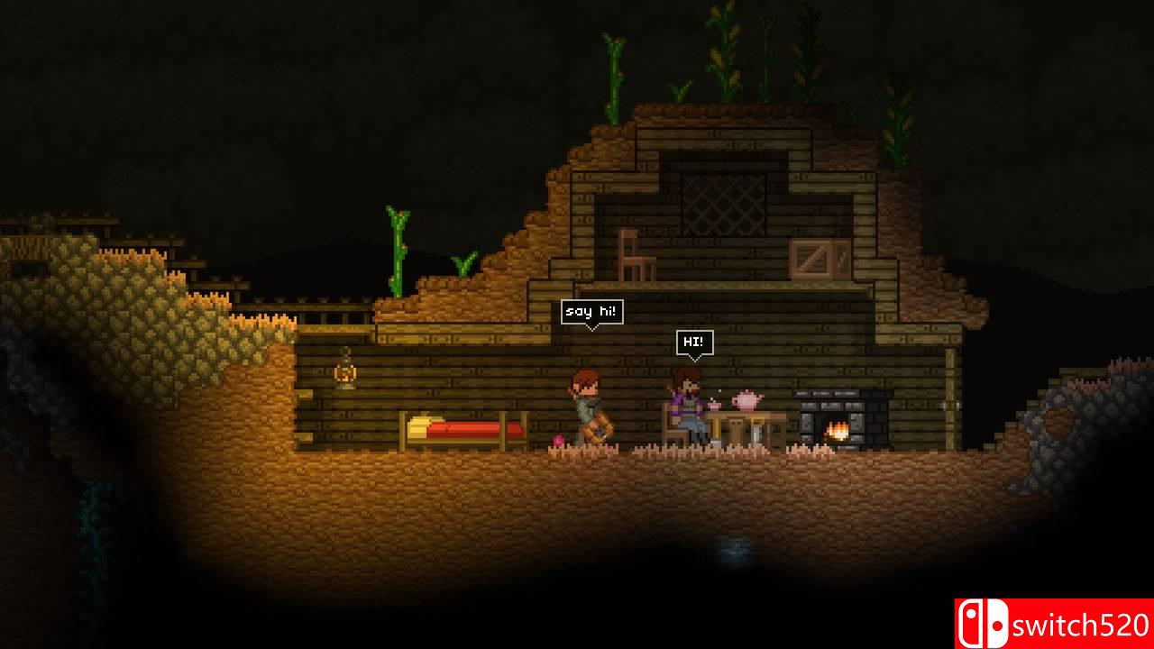 《星界边境（Starbound）》正式版 v1.0.3 3DM免安装未加密版[EN]_3
