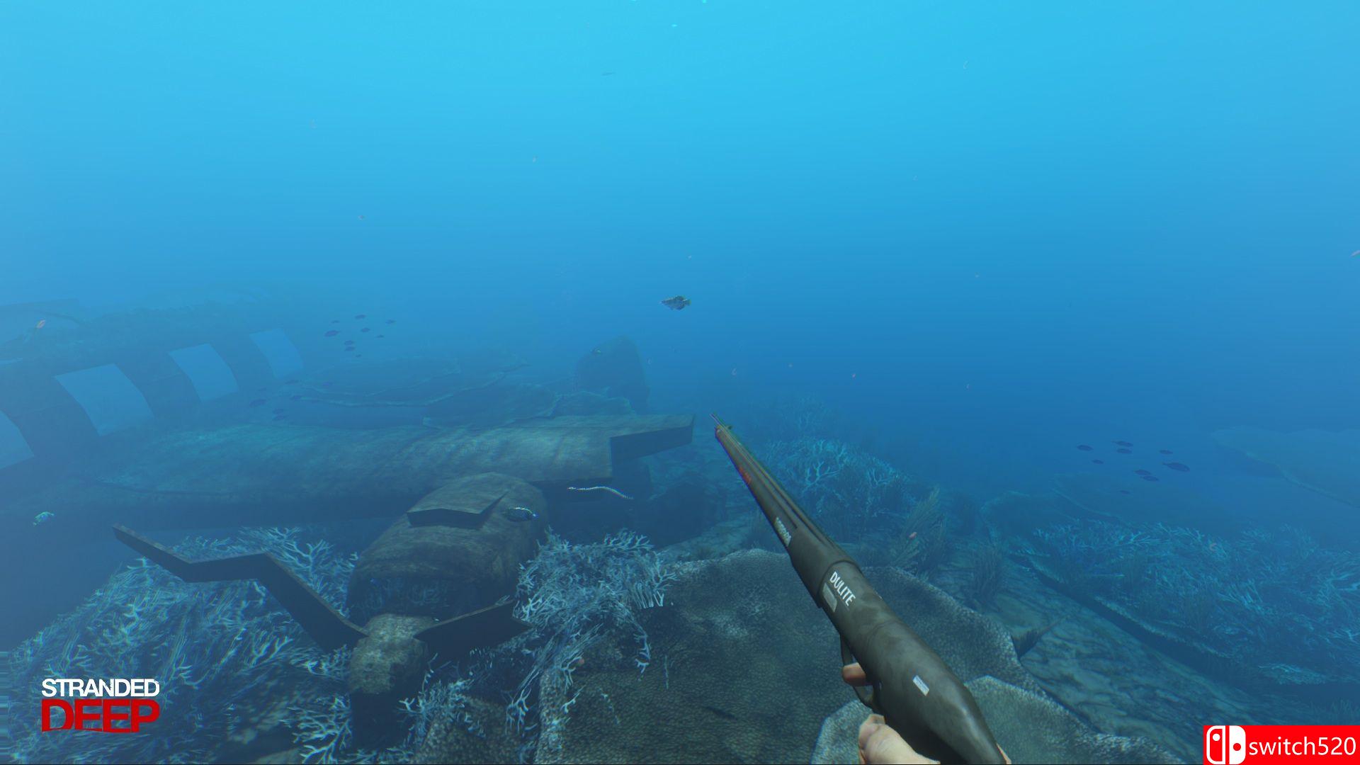 《荒岛求生（Stranded Deep）》Alpha v0.16.H1 3DM免安装未加密版[EN]_4