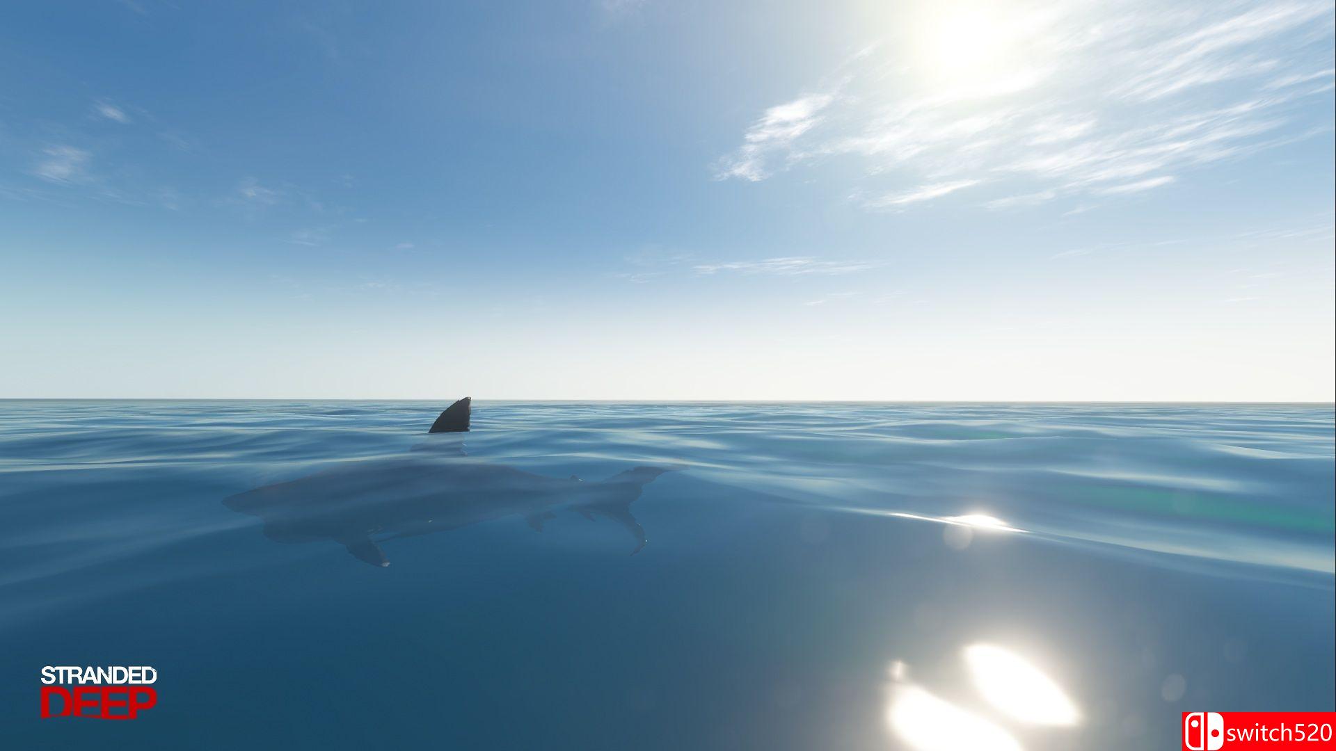 《荒岛求生（Stranded Deep）》Alpha v0.16.H1 3DM免安装未加密版[EN]_2