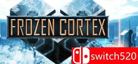 《冰封底线（Frozen Cortex）》RELOADED破解版[EN]