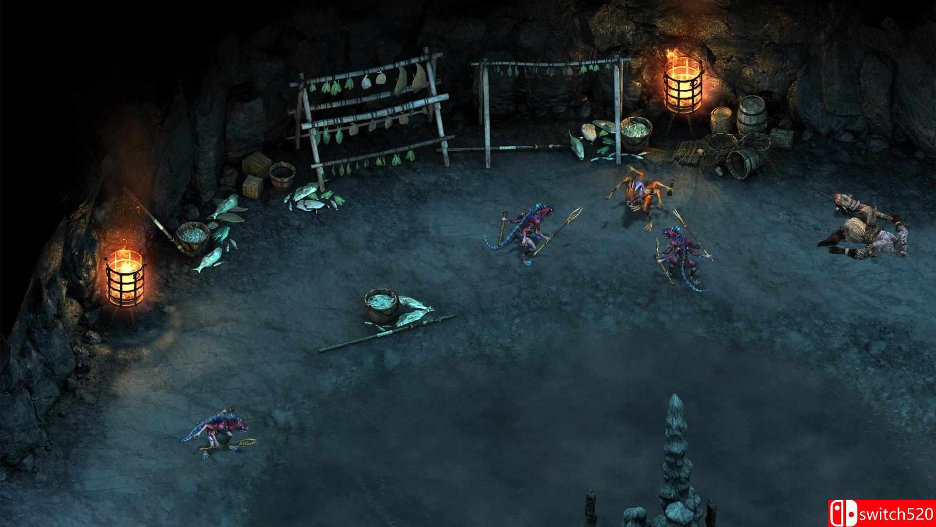 《永恒之柱（Pillars of Eternity）》八国语言 终极版 PROPHET镜像版[EN]_2