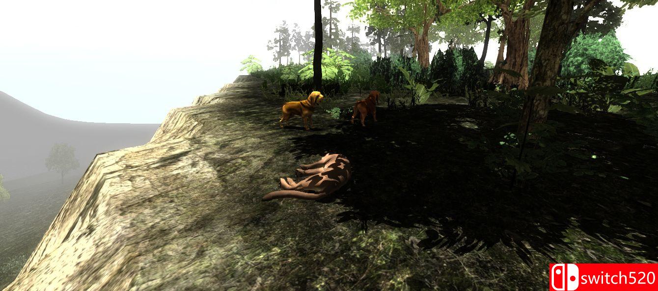 《野生动物：美洲狮的生活（Untamed: Life Of A Cougar）》DOGE破解版[EN]_2