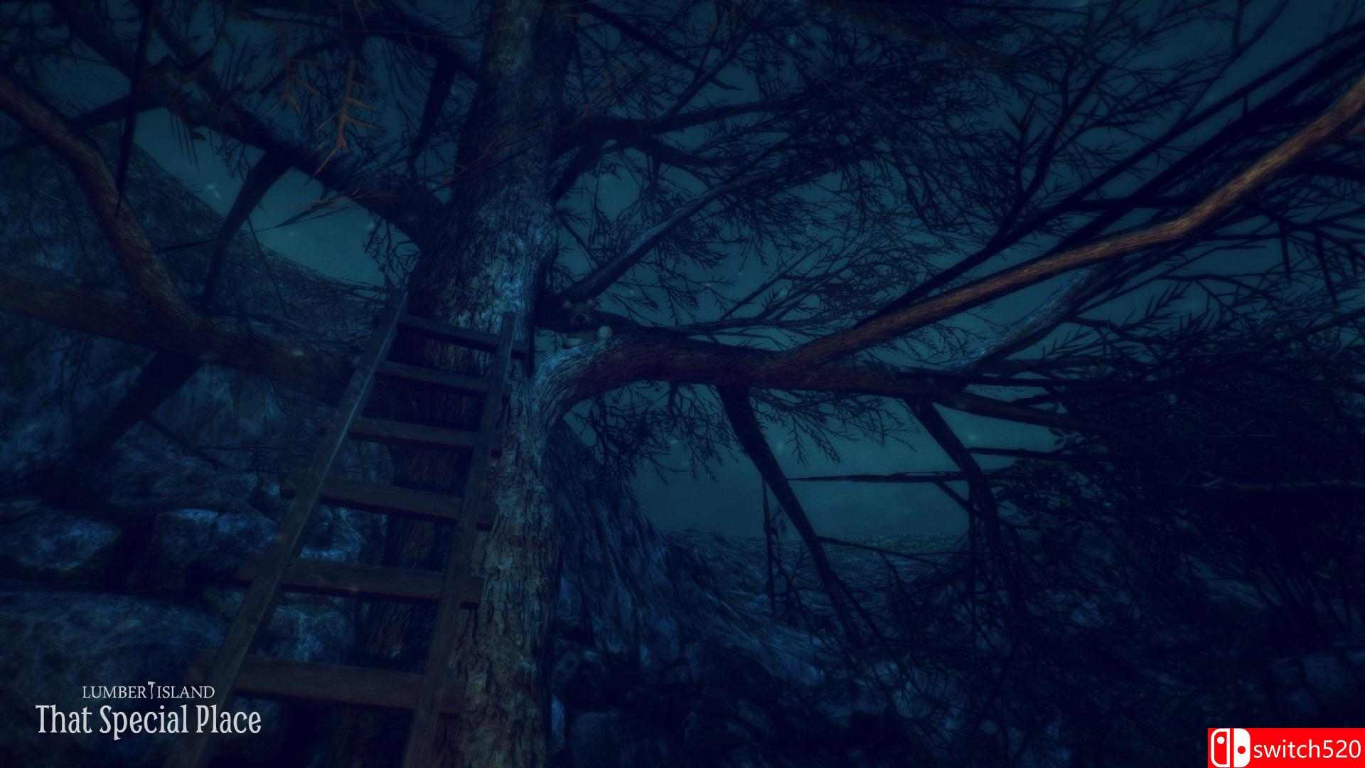 《木头岛：特别的地方（Lumber Island - That Special Place）》PLAZA破解版[EN]_7