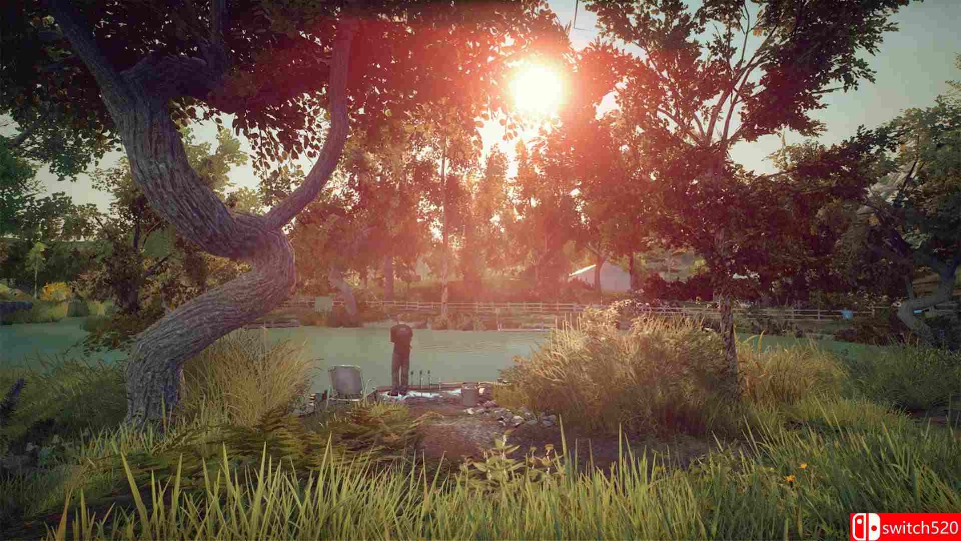 《欧洲钓鱼模拟（Euro Fishing）》集成Foundry Dock DLC CODEX镜像版[EN]_7