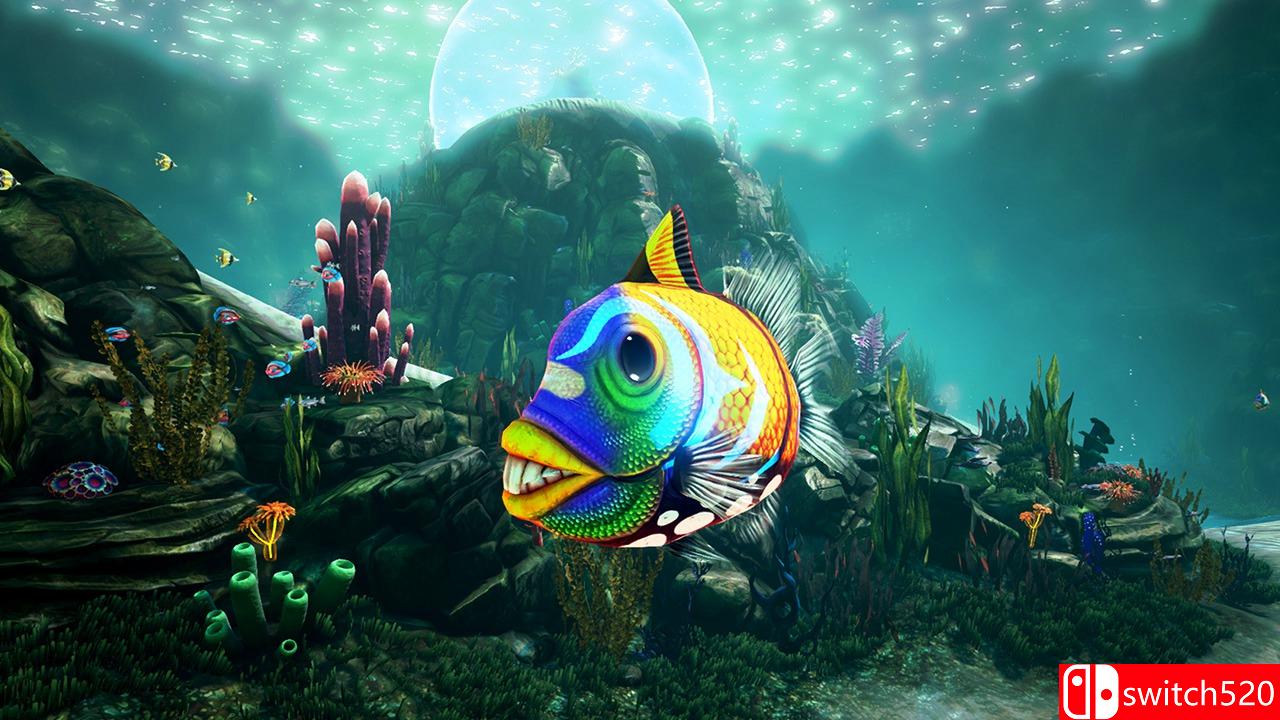 《浮游生物（planktOs）》PLAZA破解版[EN]_4