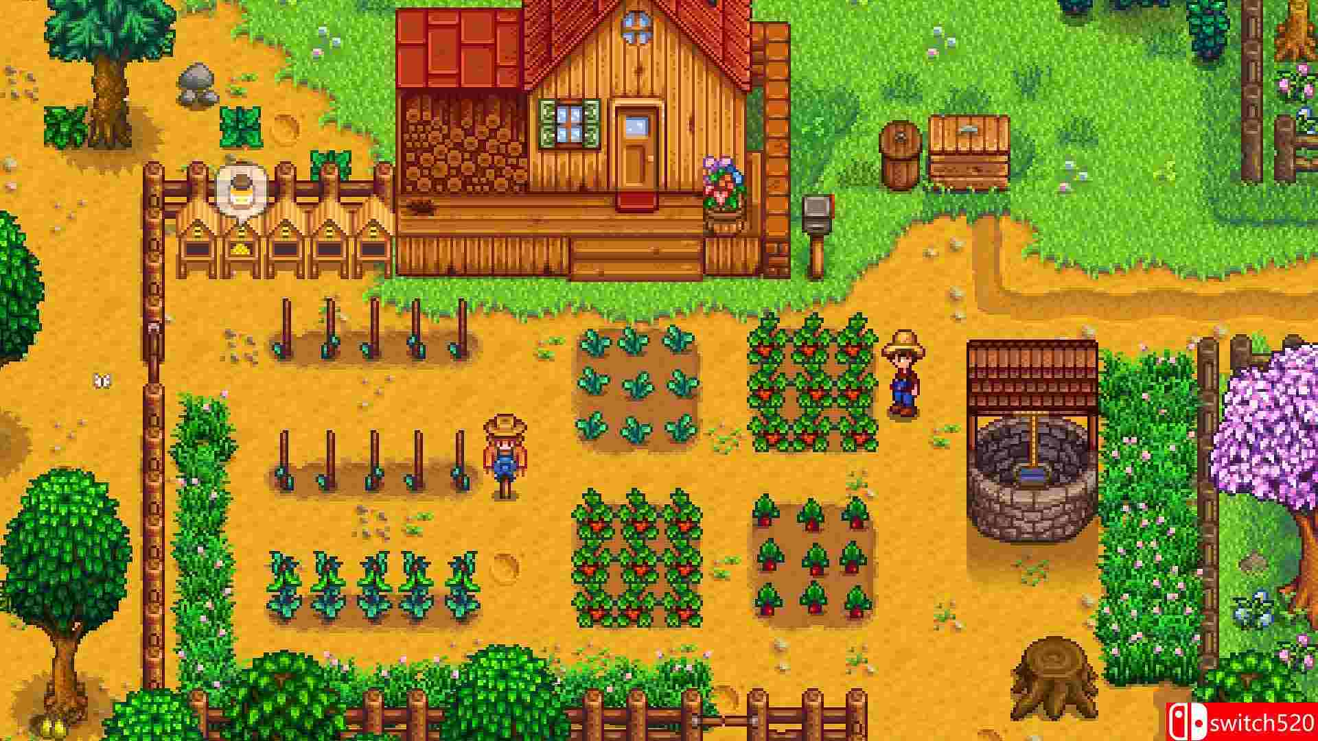 《星露谷物语（Stardew Valley）》v1.06 ALiAS硬盘版[EN]_2