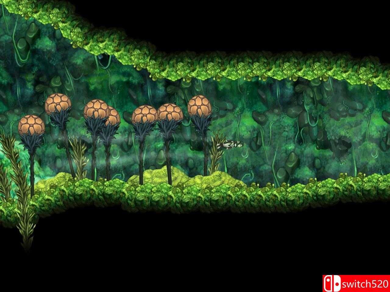 《安琪拉之歌（Aquaria）》v2.0.0.1 GOG版 CORE破解版[EN]_3