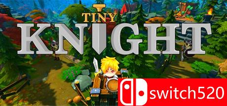 《小小骑士（Tiny Knight）》CODEX破解版[EN]
