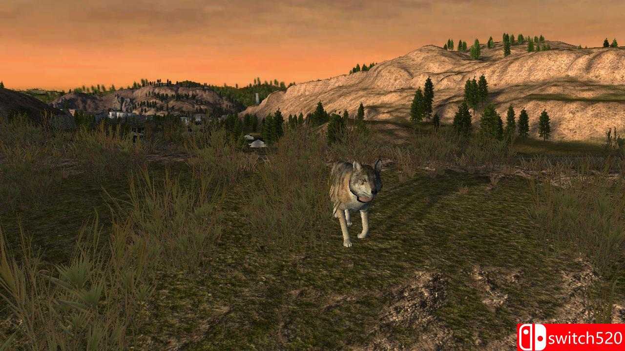 《野狼谜踪（WolfQuest）》PLAZA镜像版[EN]_1