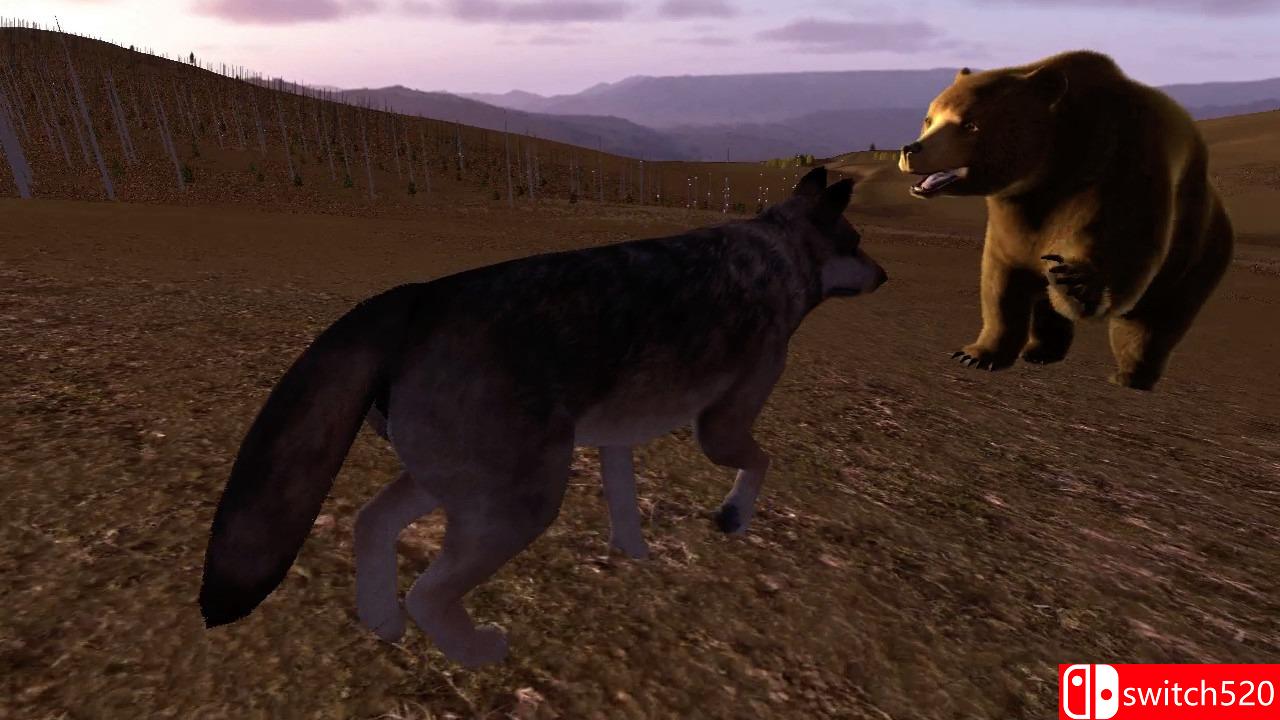 《野狼谜踪（WolfQuest）》PLAZA镜像版[EN]_7