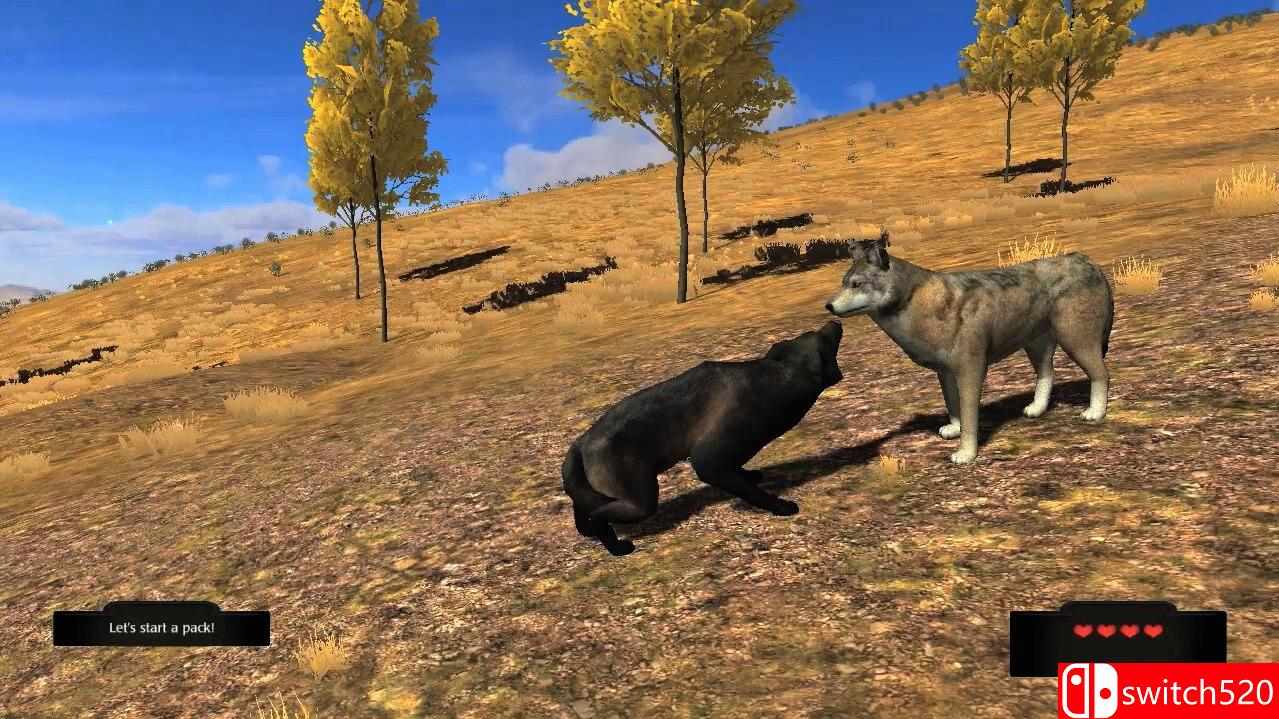 《野狼谜踪（WolfQuest）》PLAZA镜像版[EN]_9