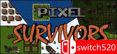 《像素幸存者（Pixel Survivors）》v1.08 DARKSiDERS破解版[EN]
