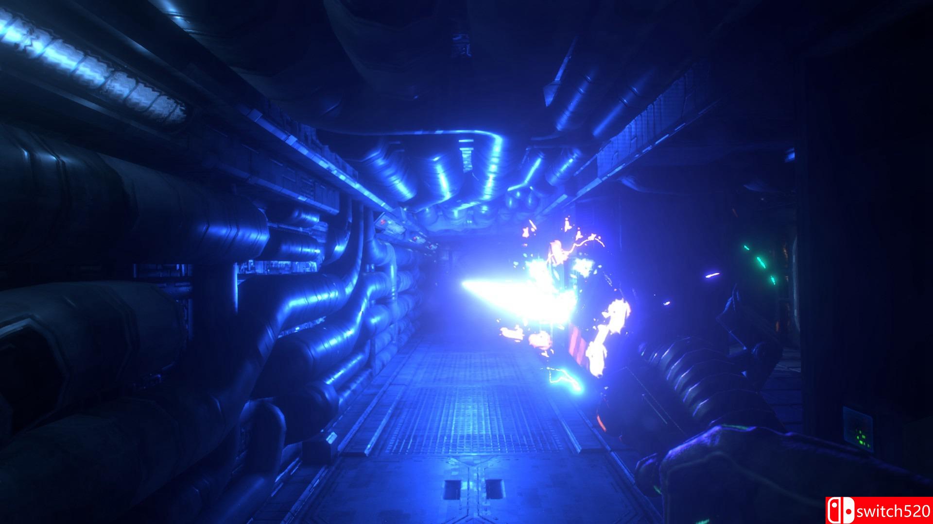 《网络奇兵：重制版（System Shock）》Pre-Alpha测试版 SAFTPRESSE破解版[EN]_1