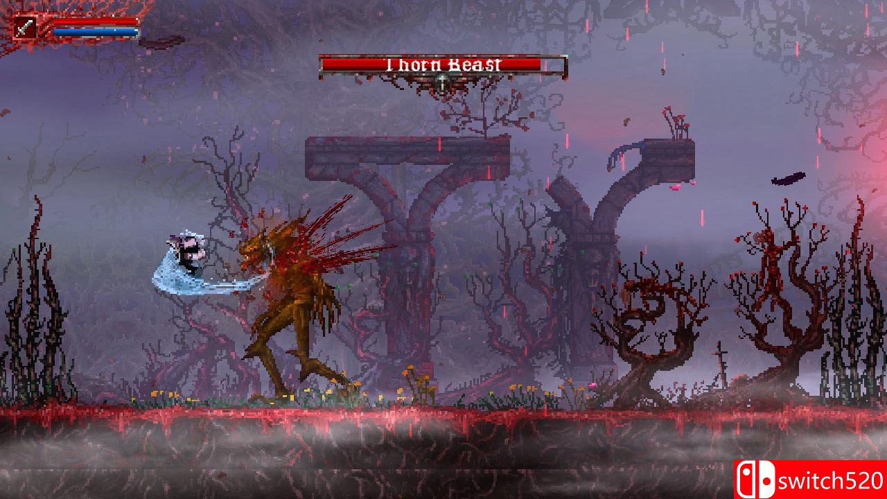 《弑杀：地狱归来（Slain: Back from Hell）》ALiAS硬盘版[EN]_2