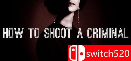 《探寻真凶（How to shoot a criminal）》PLAZA镜像版[EN]