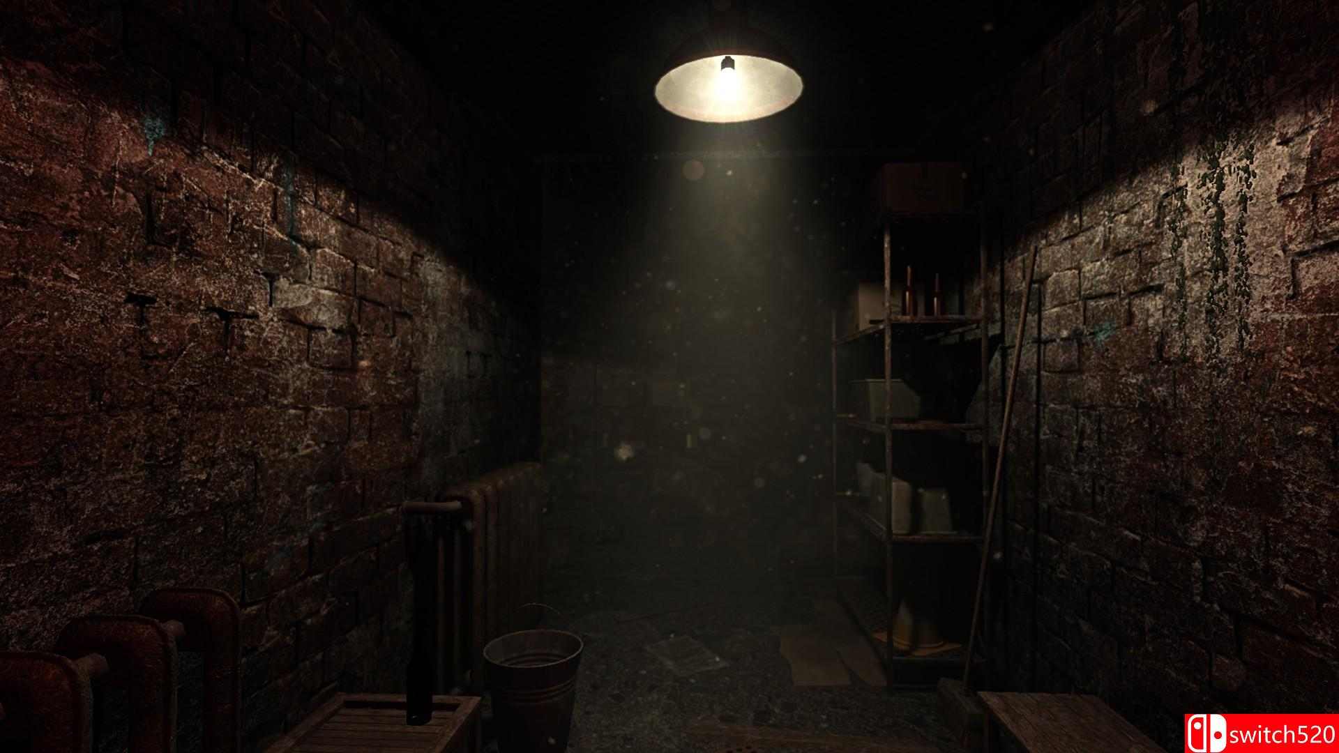 《死亡真相：沿暗路前行（DeadTruth: The Dark Path Ahead）》PLAZA镜像版[EN]_1