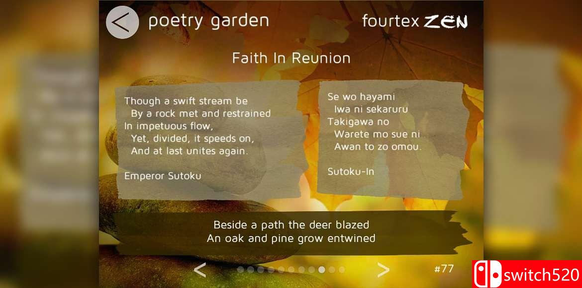 《Fourtex Zen（Fourtex Zen）》v2.0.15 F4CG硬盘版[EN]_3