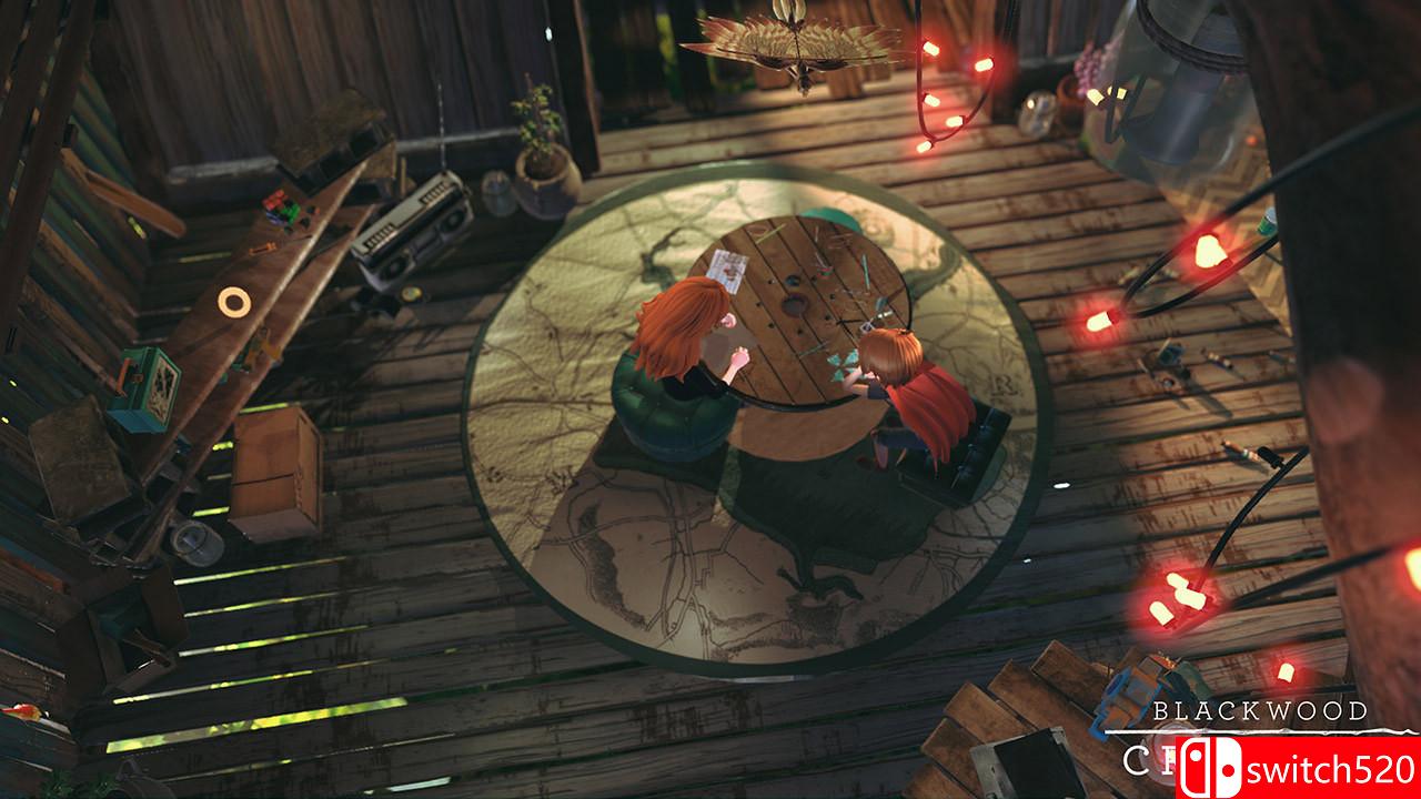 《黑木交叉（Blackwood Crossing）》RELOADED镜像版[EN]_3