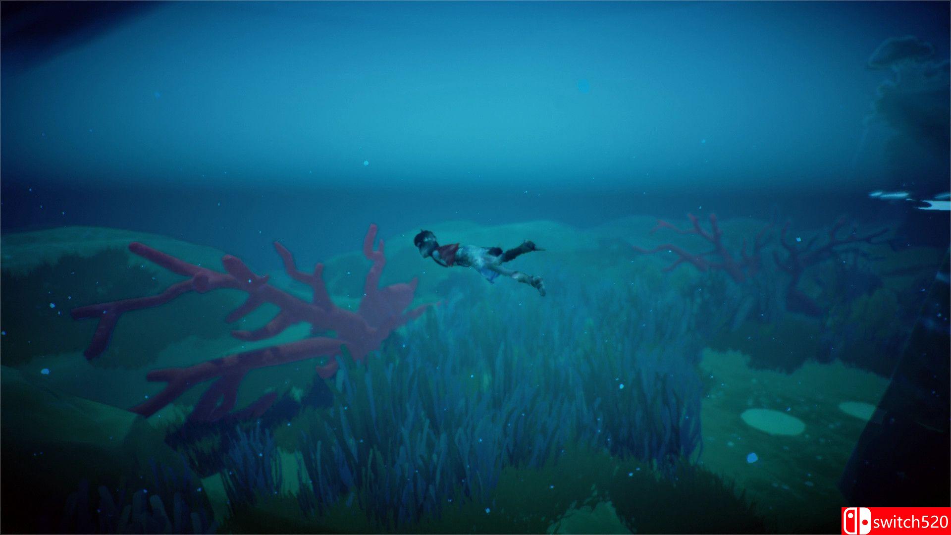 《RiME（RiME）》3DM免安装未加密版+BALDMAN单独未加密补丁[JP/EN]_12