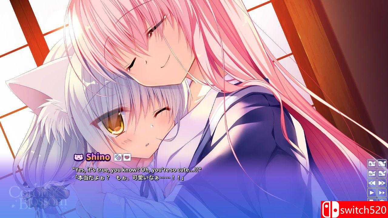 《Corona Blossom Vol.2（Corona Blossom Vol.2）》DARKSiDERS镜像版[JP/EN]_3