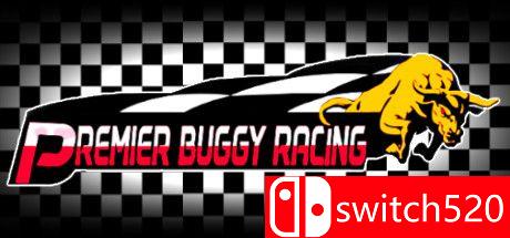 《高级越野车赛（Premier Buggy Racing Tour）》PLAZA镜像版[EN]