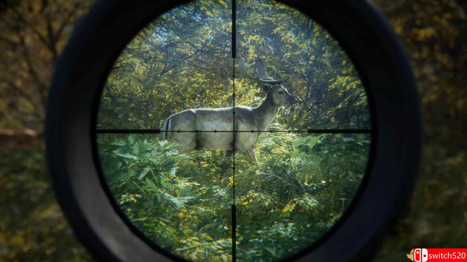 《猎人：荒野的呼唤（theHunter: Call of the Wild）》v1.22 集成DLCs CODEX镜像版[CN/EN]_1