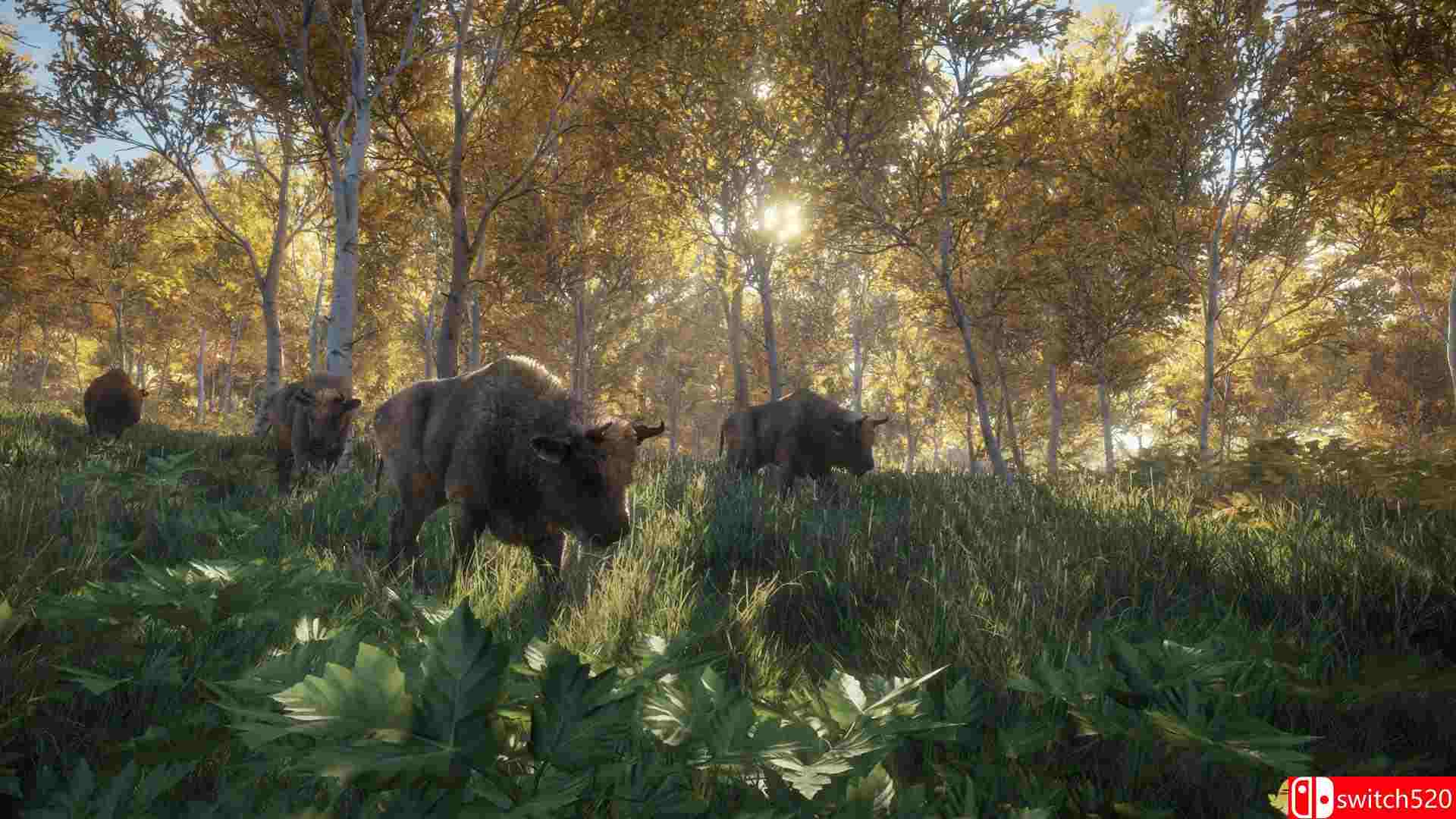 《猎人：荒野的呼唤（theHunter: Call of the Wild）》v1.22 集成DLCs CODEX镜像版[CN/EN]_2