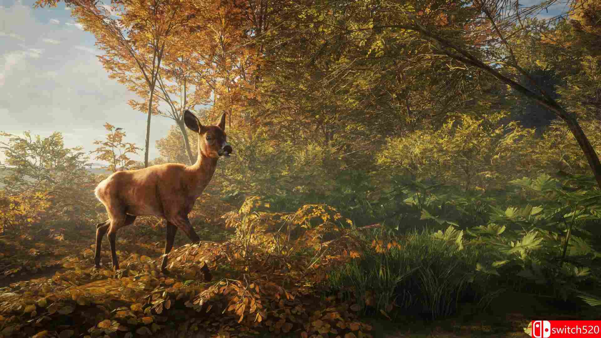 《猎人：荒野的呼唤（theHunter: Call of the Wild）》v1.22 集成DLCs CODEX镜像版[CN/EN]_7