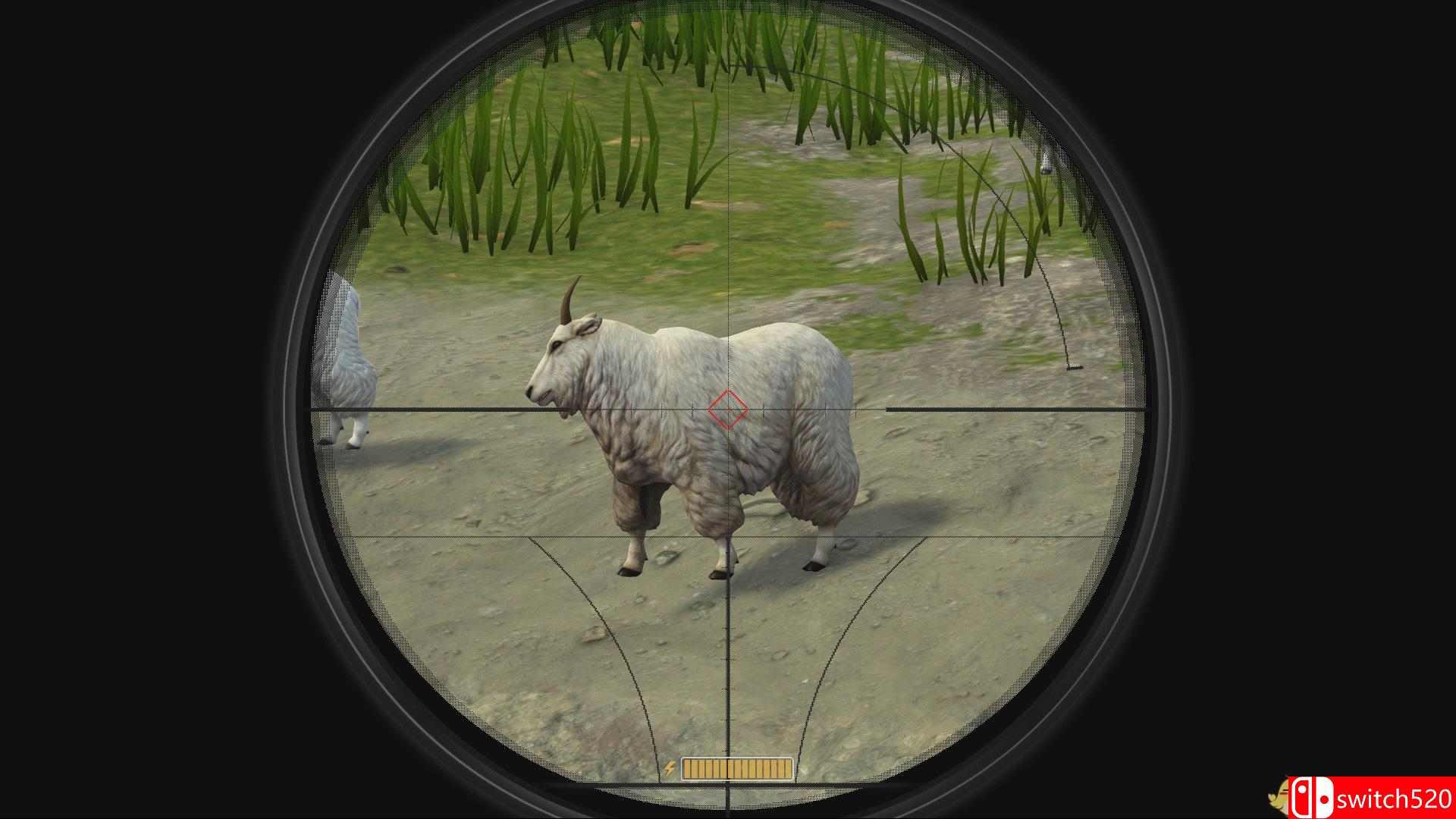 《猎鹿人：重装上阵（Deer Hunter: Reloaded）》CODEX镜像版[EN]_5