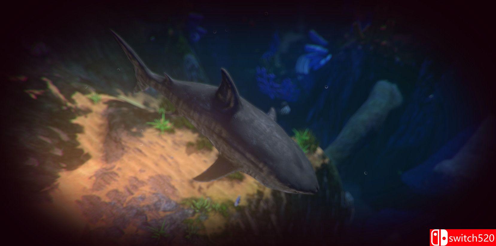《海底大猎杀（Feed and Grow: Fish）》v0.13 P2P硬盘版[EN]_2
