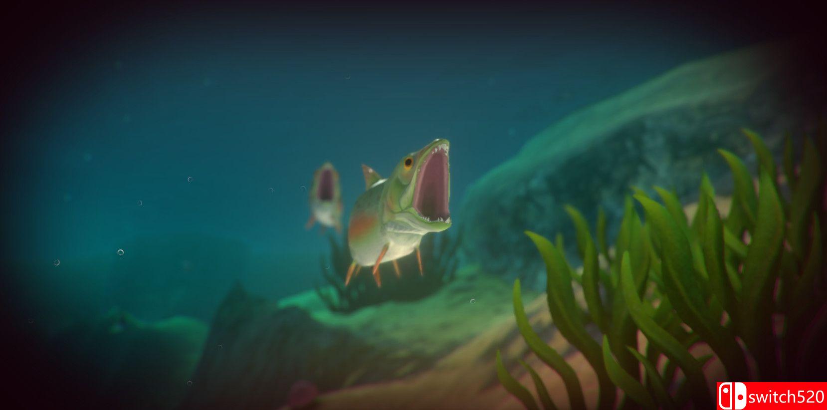 《海底大猎杀（Feed and Grow: Fish）》v0.13 P2P硬盘版[EN]_4
