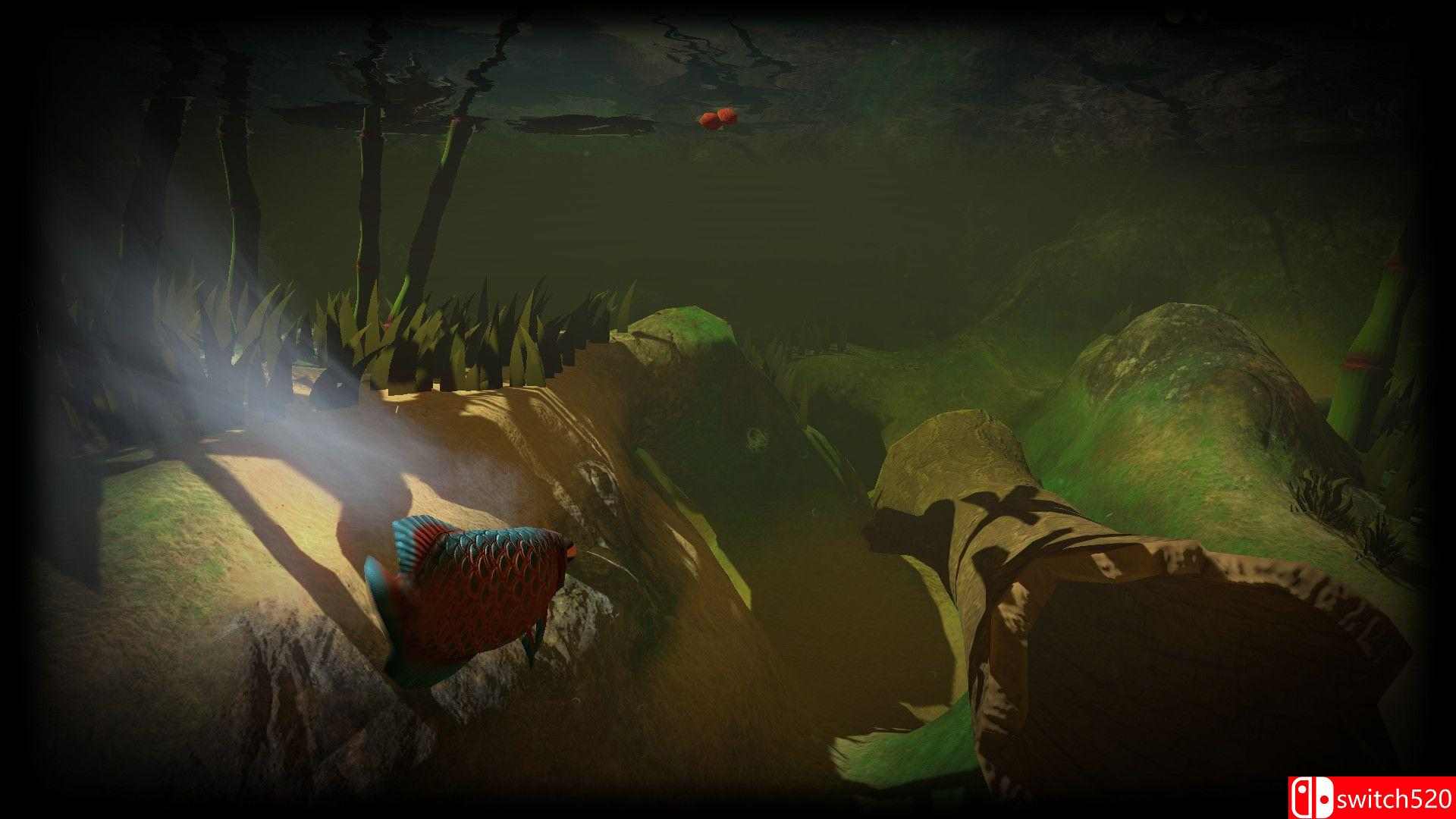 《海底大猎杀（Feed and Grow: Fish）》v0.13 P2P硬盘版[EN]_8