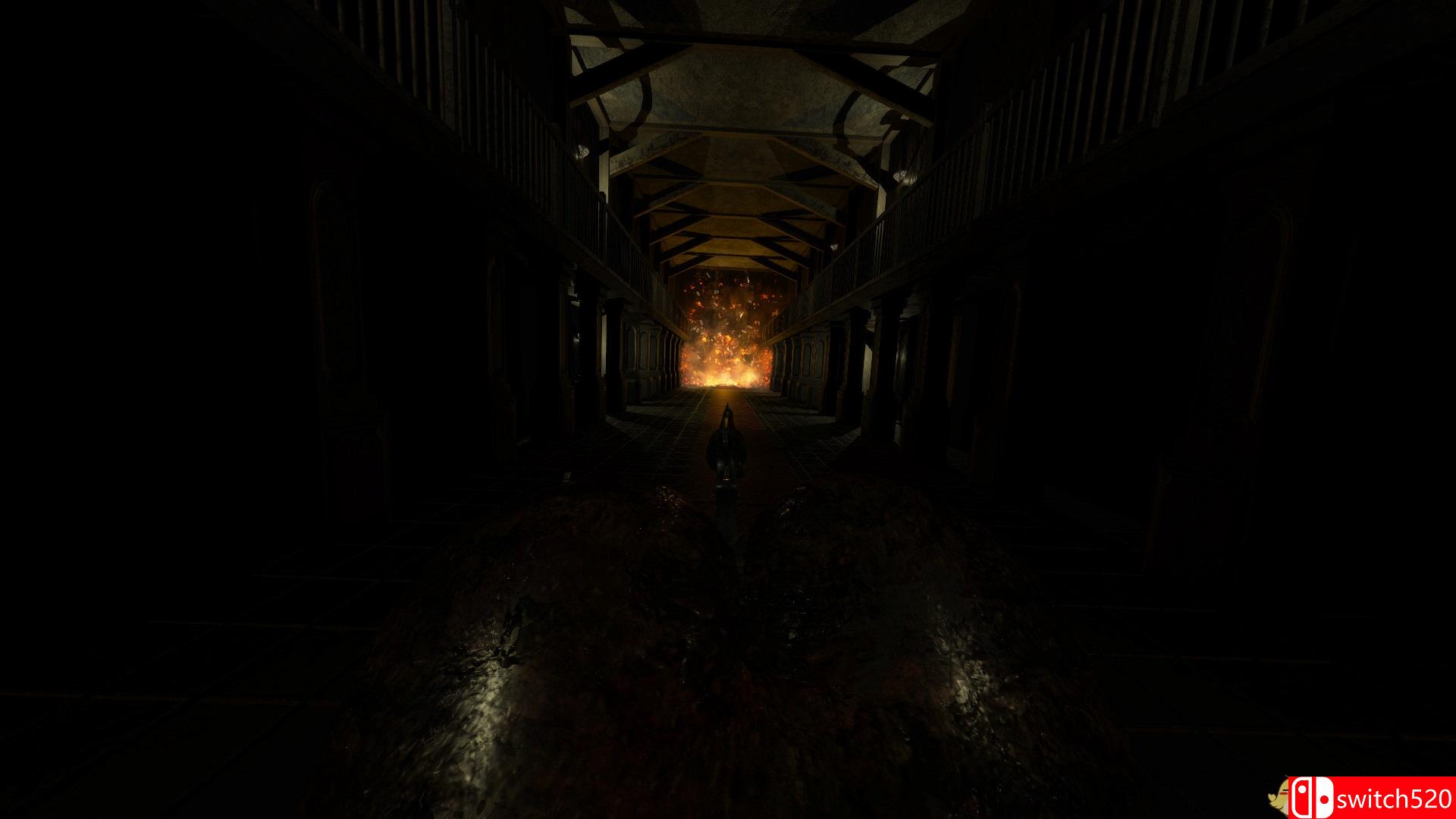 《黑暗中的便便（A Dump in the Dark）》DOGE镜像版[EN]_3