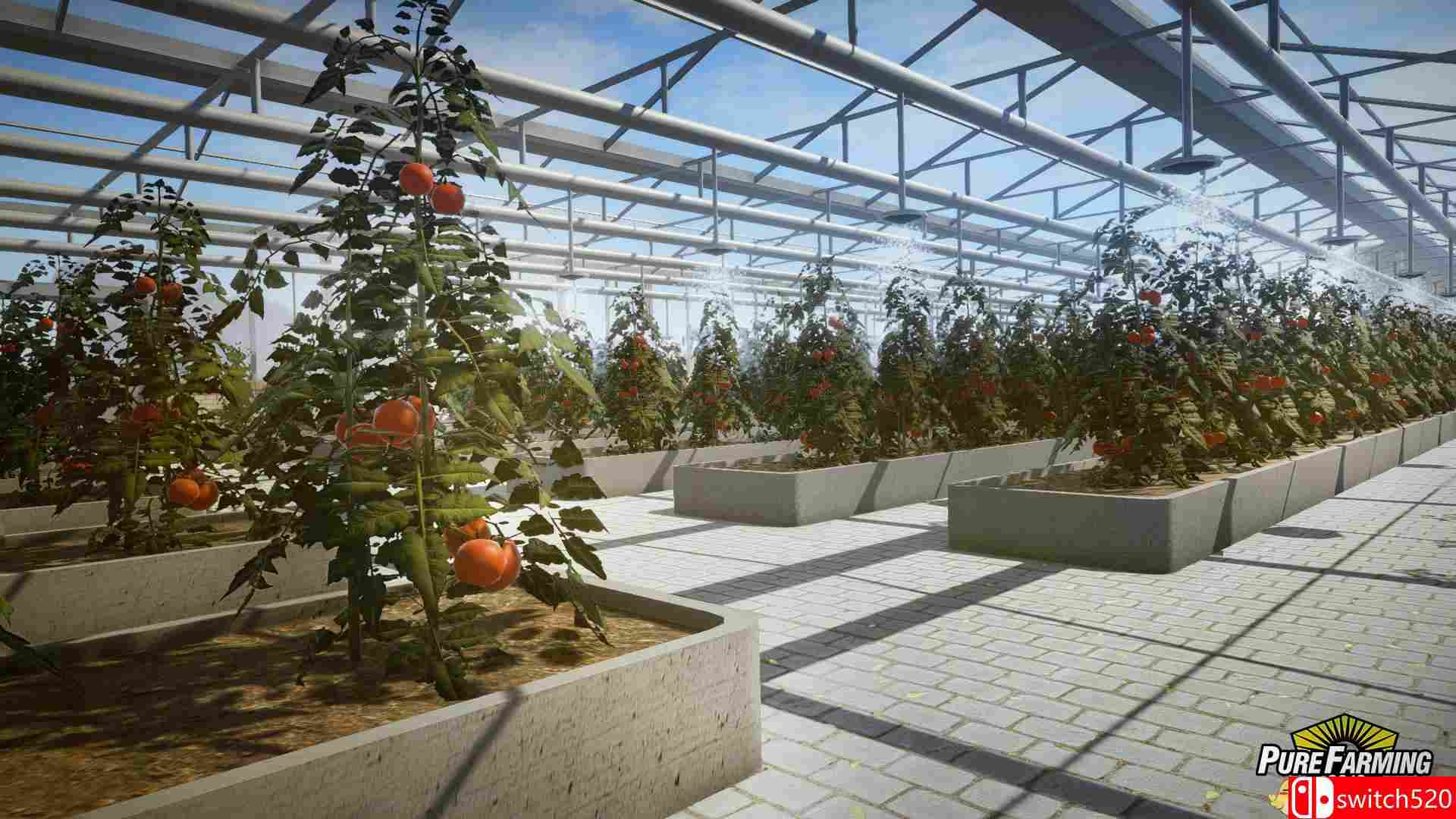 《纯粹农场2018（Pure Farming 2018）》Big Machines DLC PLAZA镜像版[EN]_5
