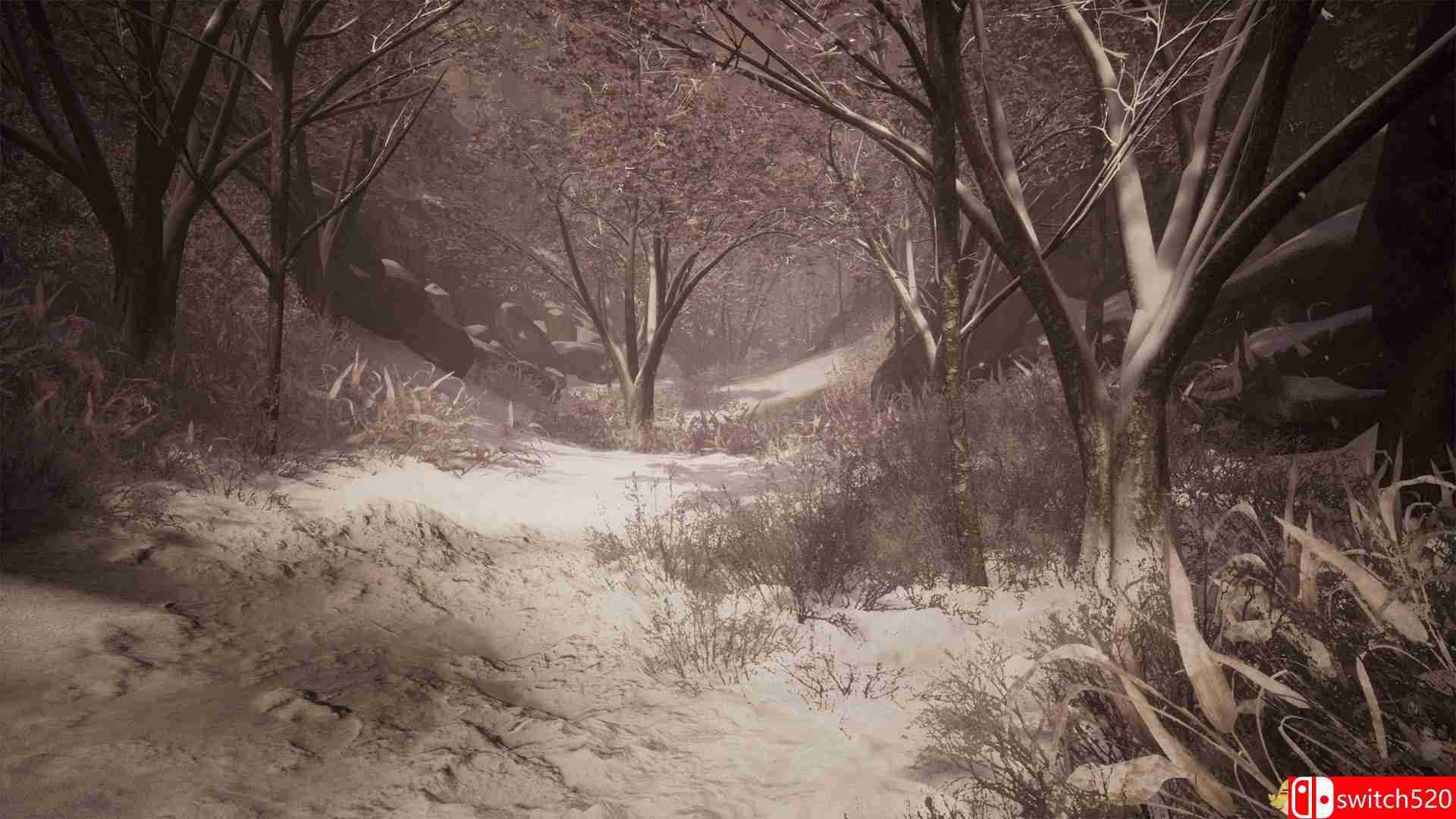 《细雨路径：记忆幻觉（Drizzlepath: Deja Vu）》SKIDROW镜像版[EN]_2