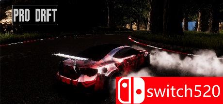 《专业漂移：重装上阵（PRO DRIFT RELOADED）》TiNYiSO镜像版[EN]