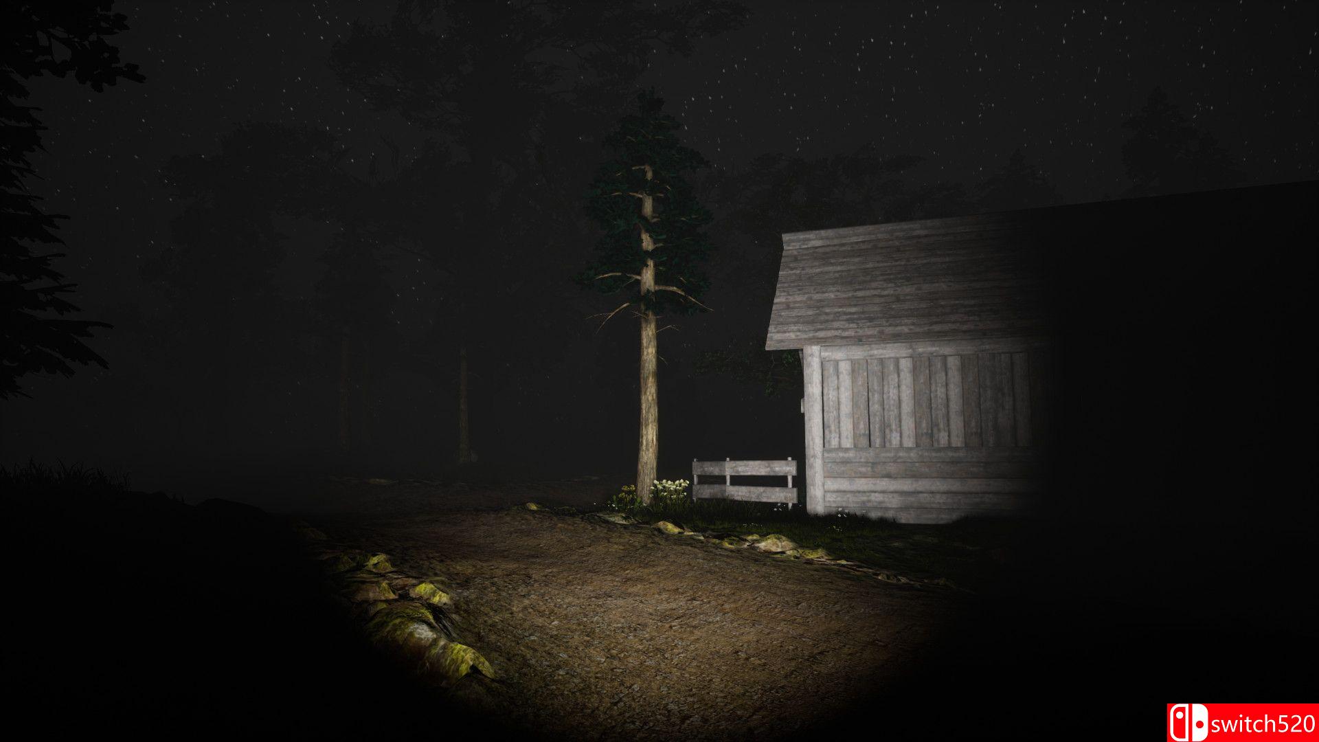 《异常研究：秘密森林（Study of Unusual: Forest of Secrets）》PLAZA镜像版[EN]_5