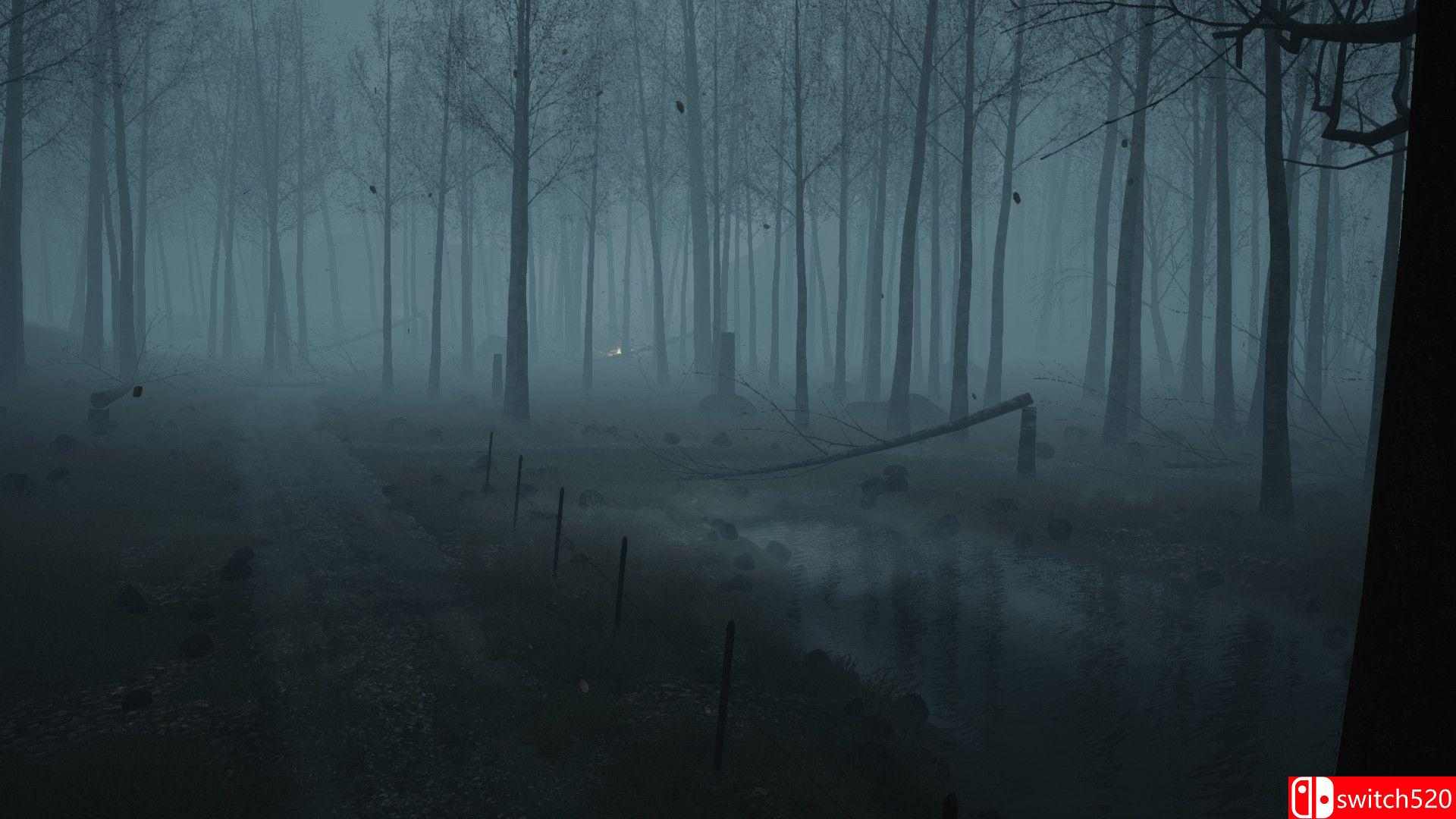 《死亡森林（Dead Forest）》PLAZA镜像版[EN]_2