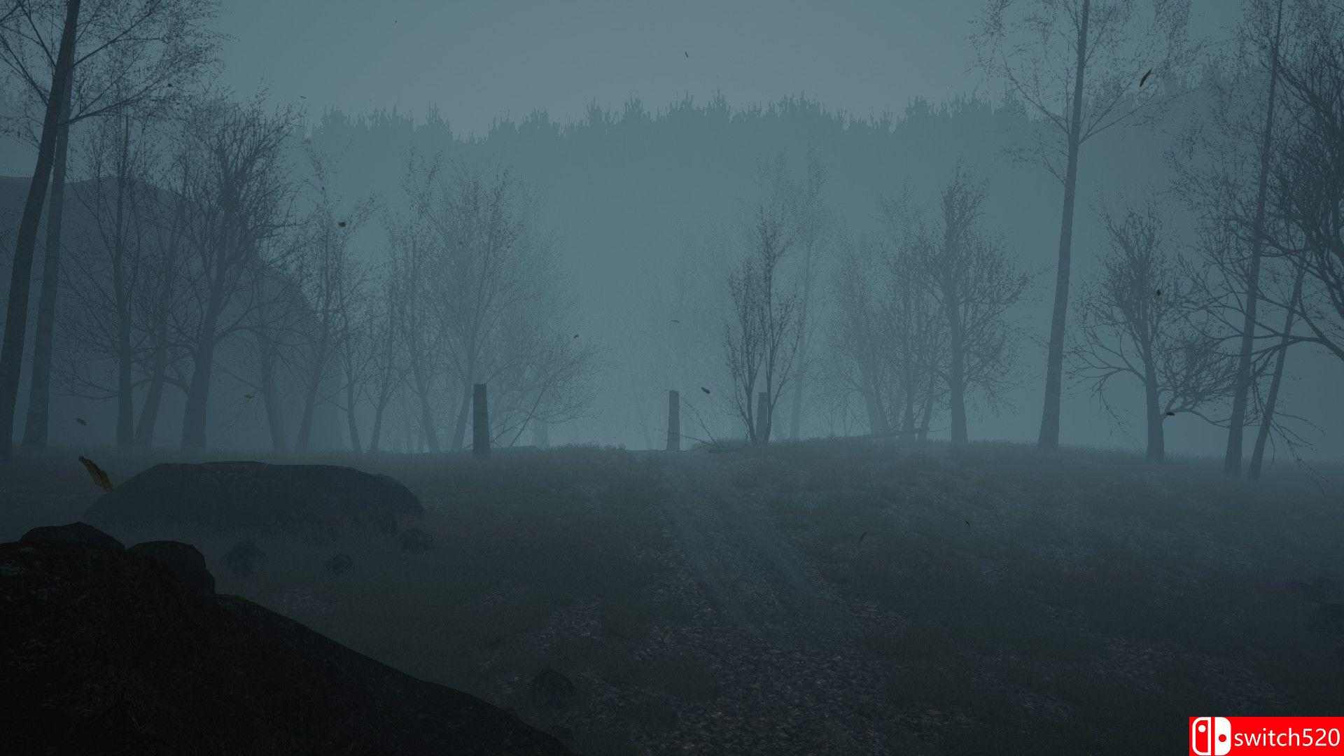 《死亡森林（Dead Forest）》PLAZA镜像版[EN]_4