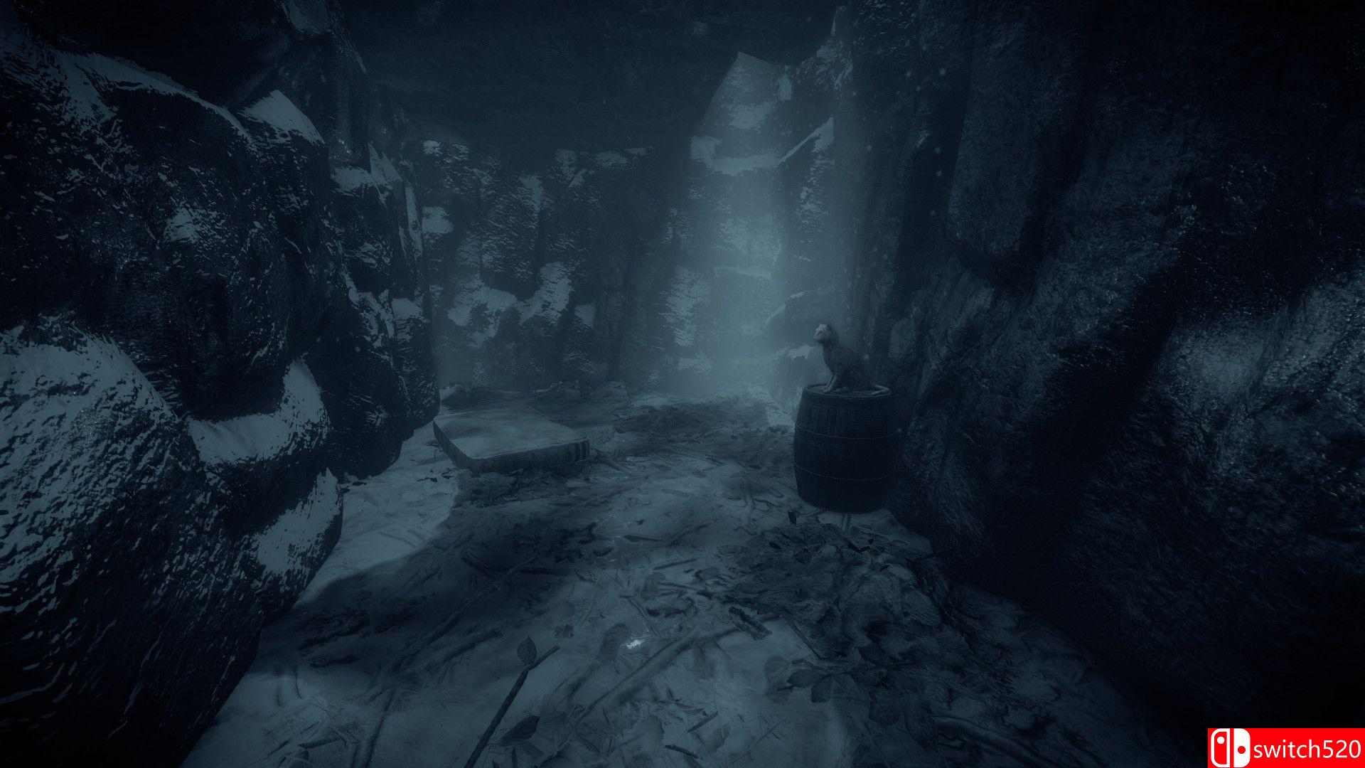 《阴暗面（ShadowSide）》PLAZA镜像版[EN]_1