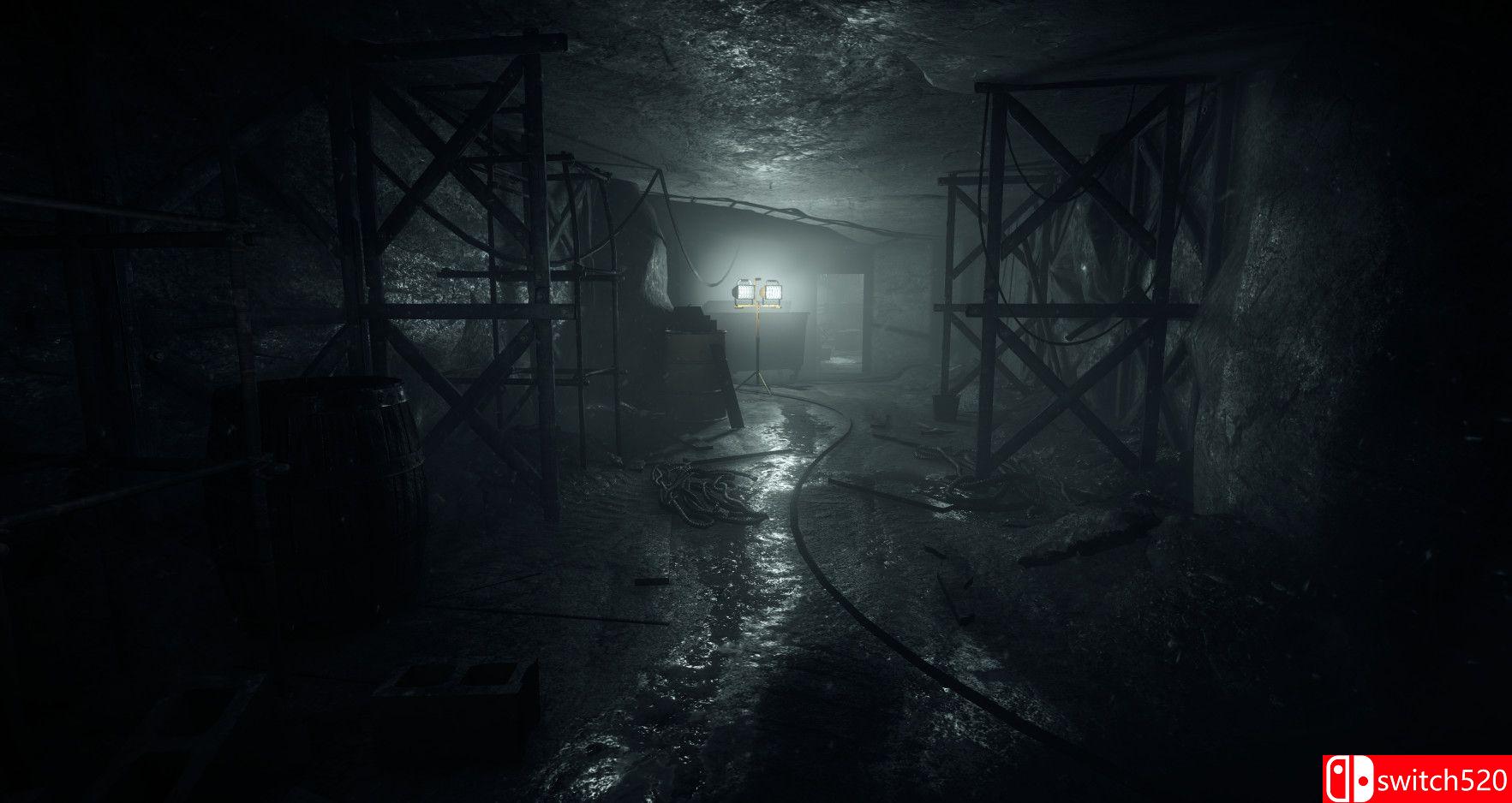 《阴暗面（ShadowSide）》PLAZA镜像版[EN]_4