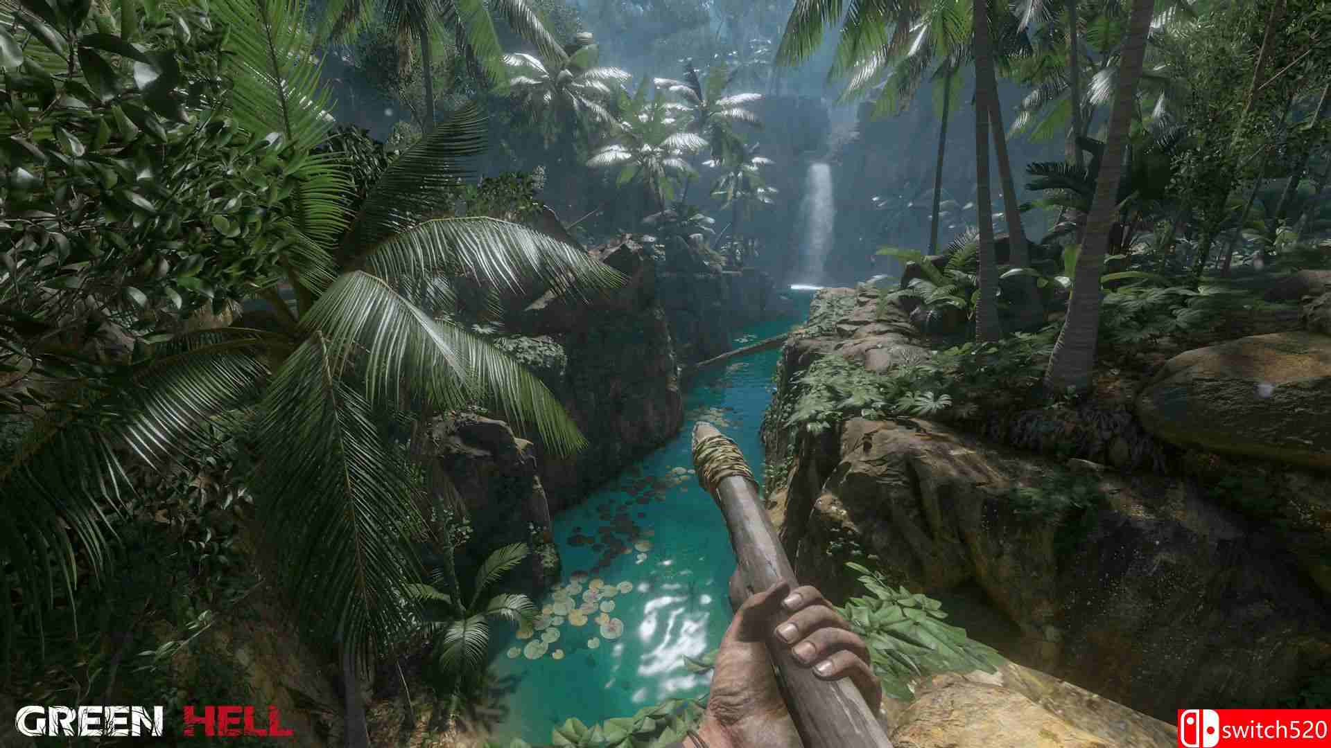 《绿色地狱（Green Hell）》Early Access 免安装未加密版[EN]_1