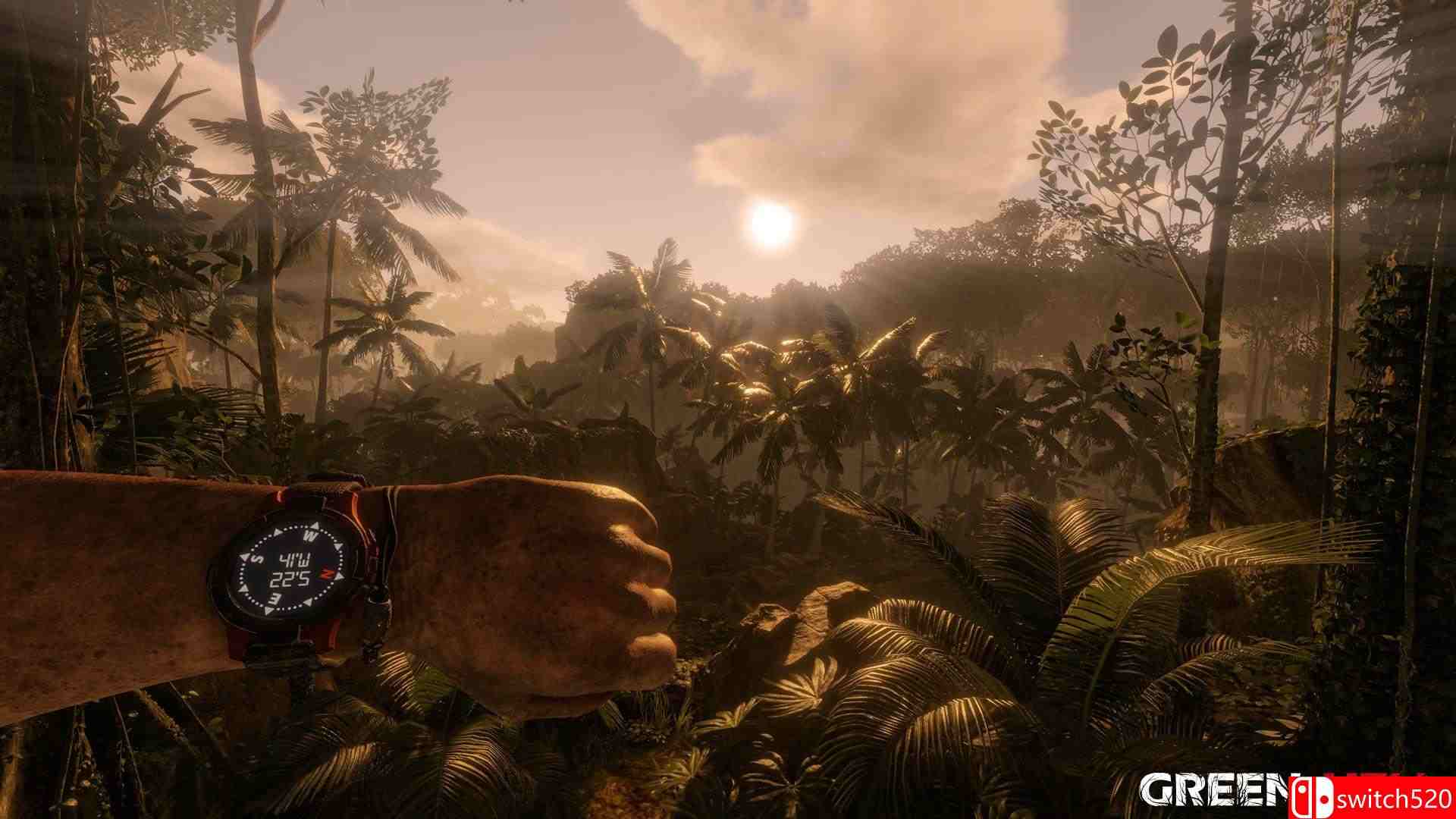 《绿色地狱（Green Hell）》Early Access 免安装未加密版[EN]_2