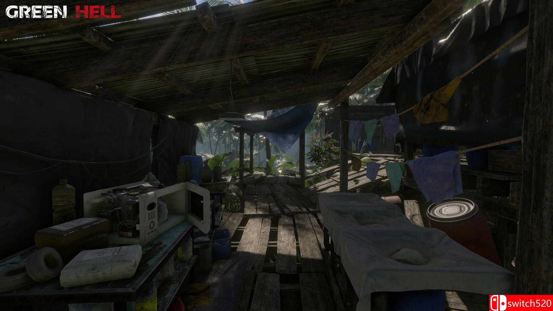 《绿色地狱（Green Hell）》Early Access 免安装未加密版[EN]_4