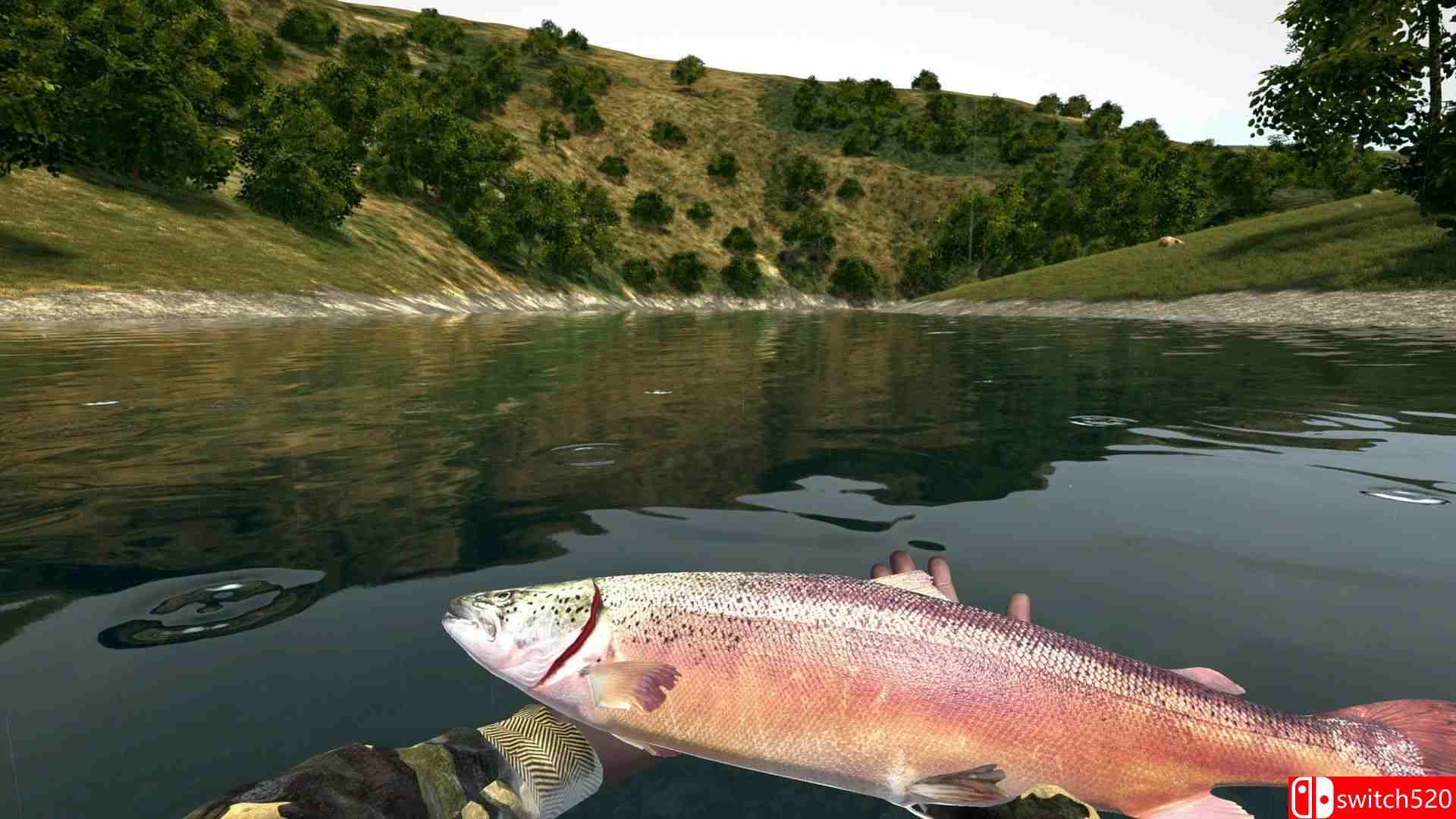 《终极钓鱼模拟器（Ultimate Fishing Simulator）》集成DLC CODEX镜像版[CN/EN/JP]_1