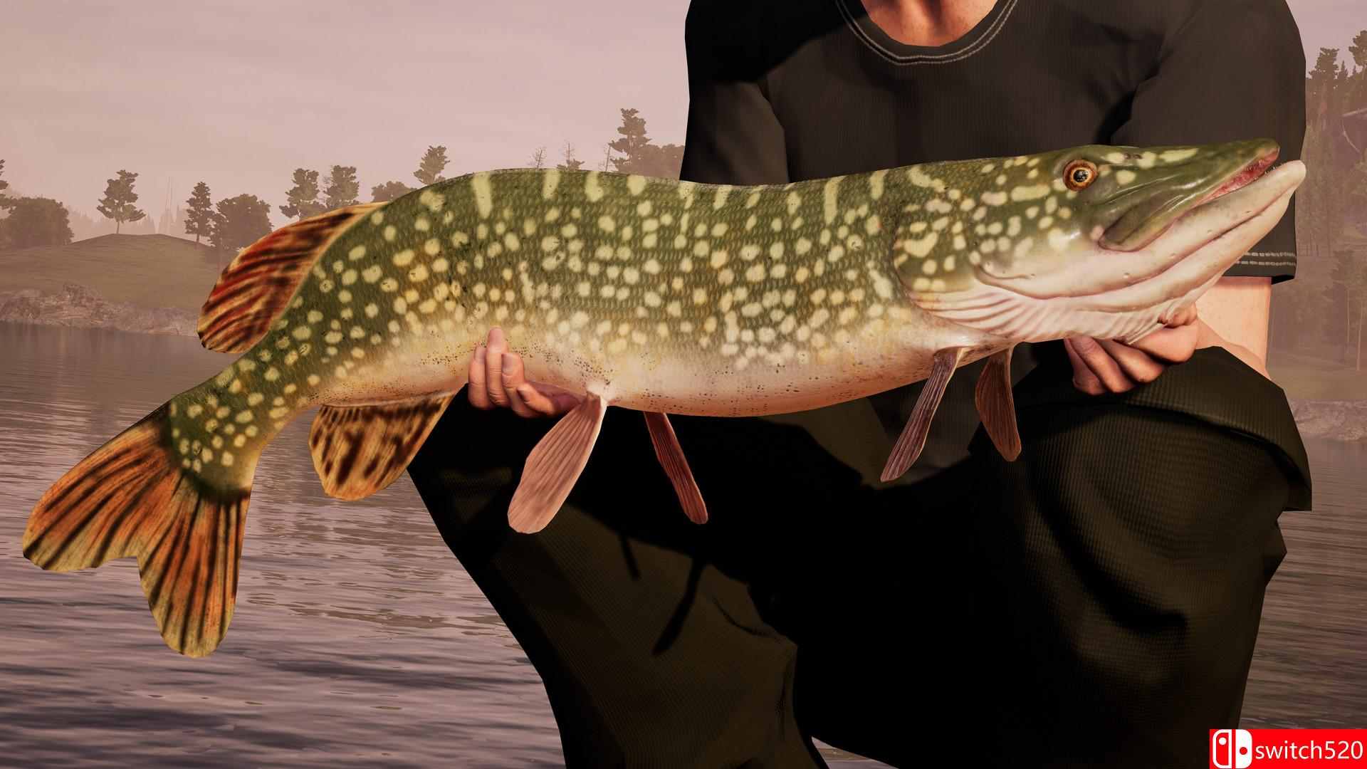 《钓鱼模拟世界（Fishing Sim World）》HOODLUM镜像版[EN]_3
