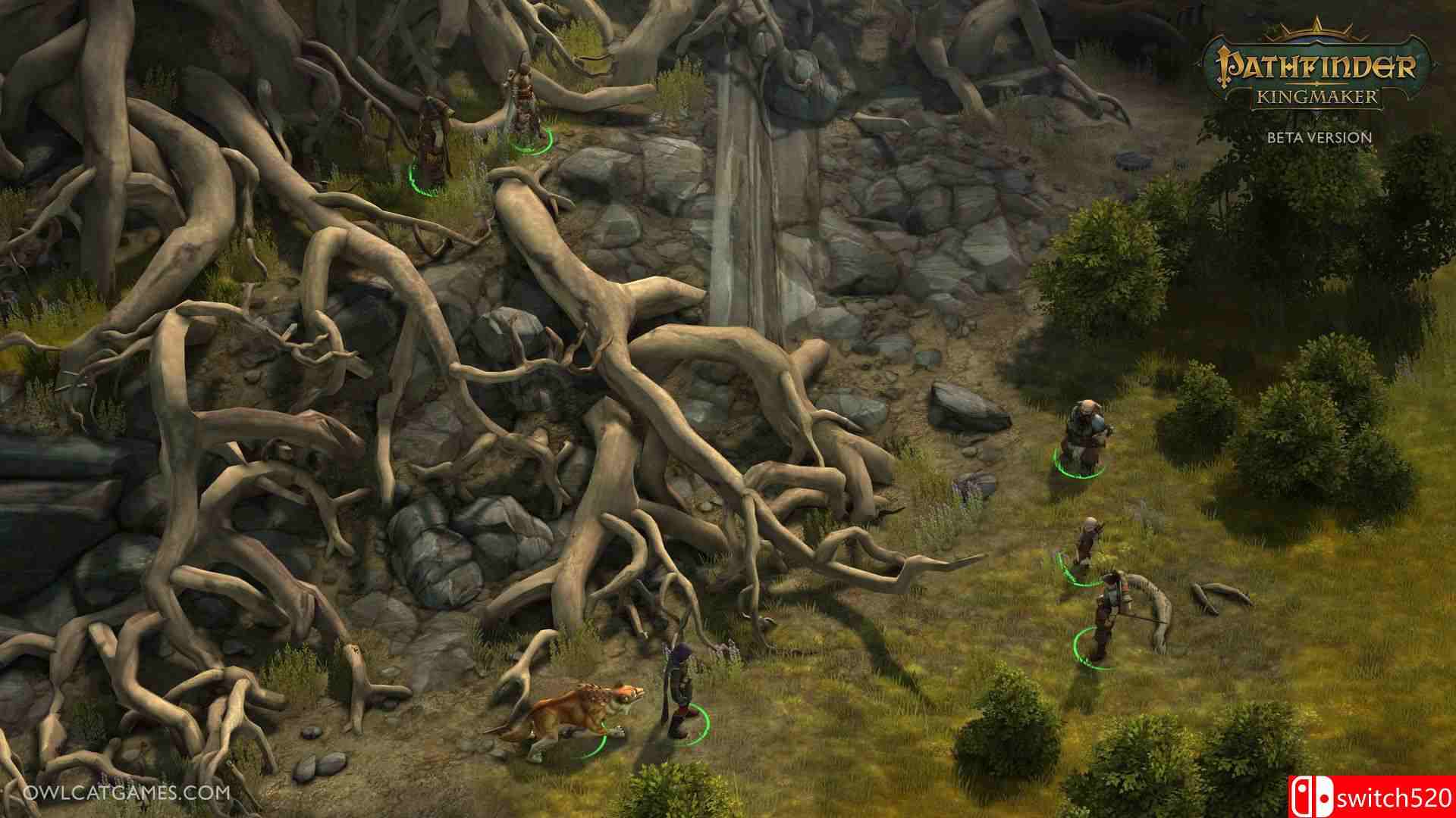 《开拓者：拥王者（Pathfinder: Kingmaker）》v1.2.5c 集成DLC CODEX镜像版[CN/EN]_2
