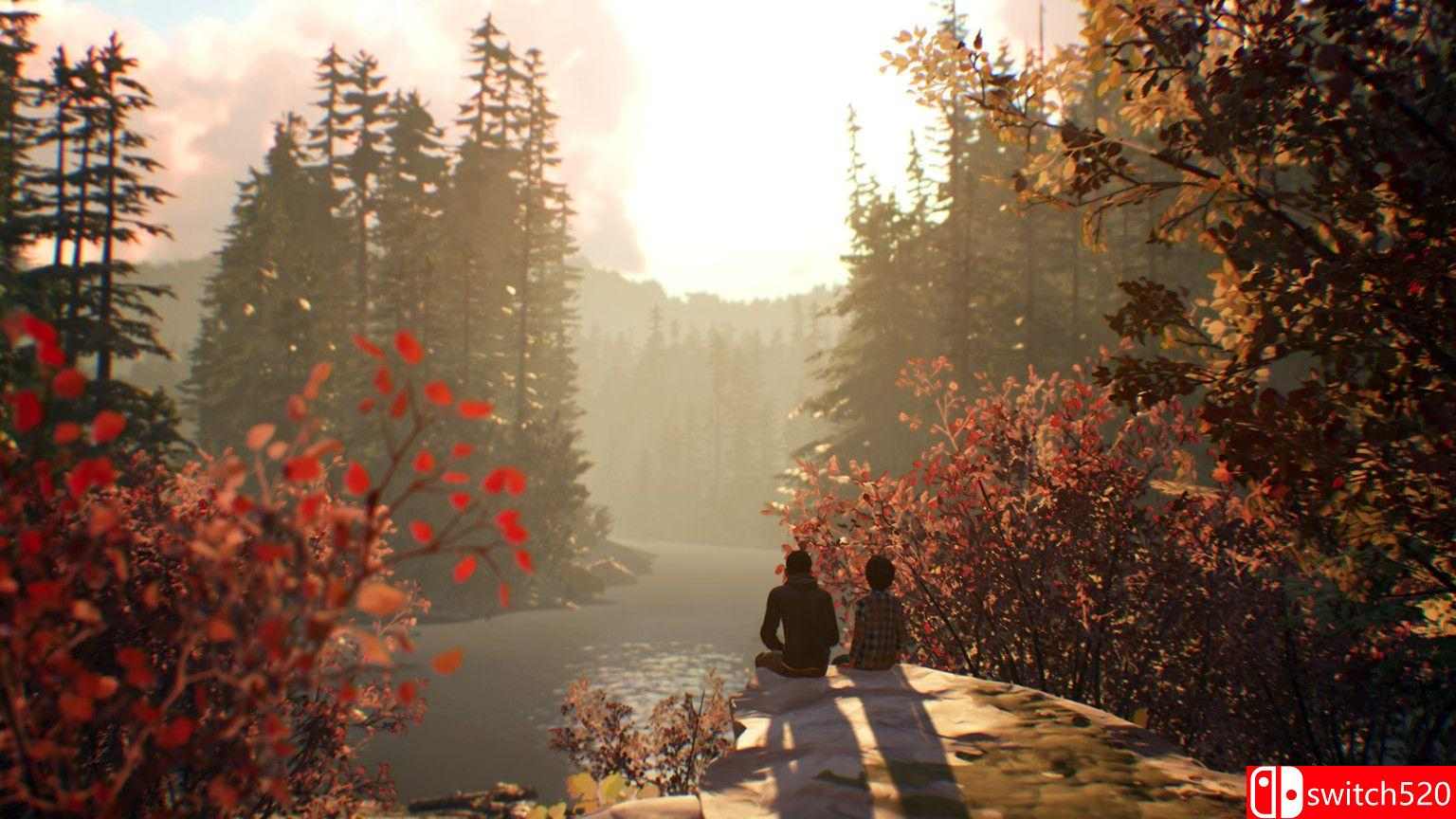 《奇异人生2（Life is Strange 2）》第一章 CPY镜像版[CN/EN]_5