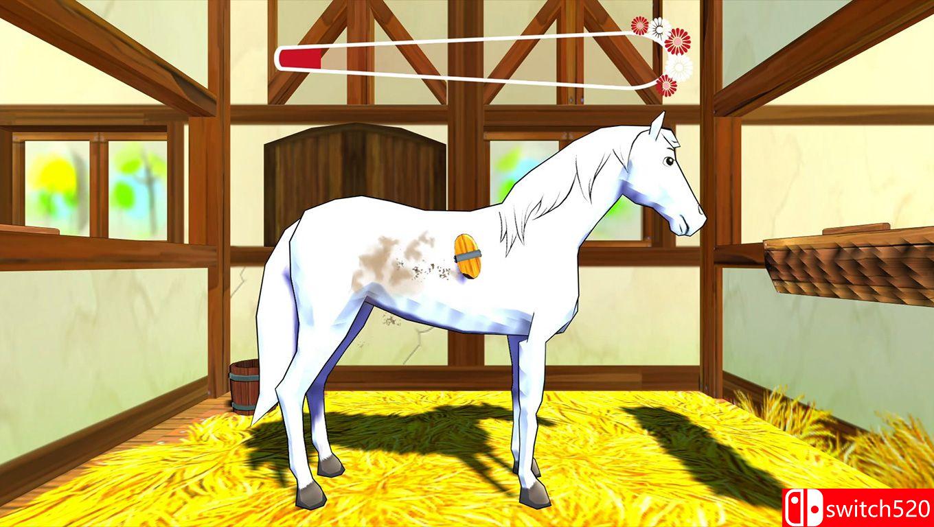 《比比和迪娜：马匹历险记（Bibi & Tina: Adventures with Horses）》SiMPLEX硬盘版[EN]_5